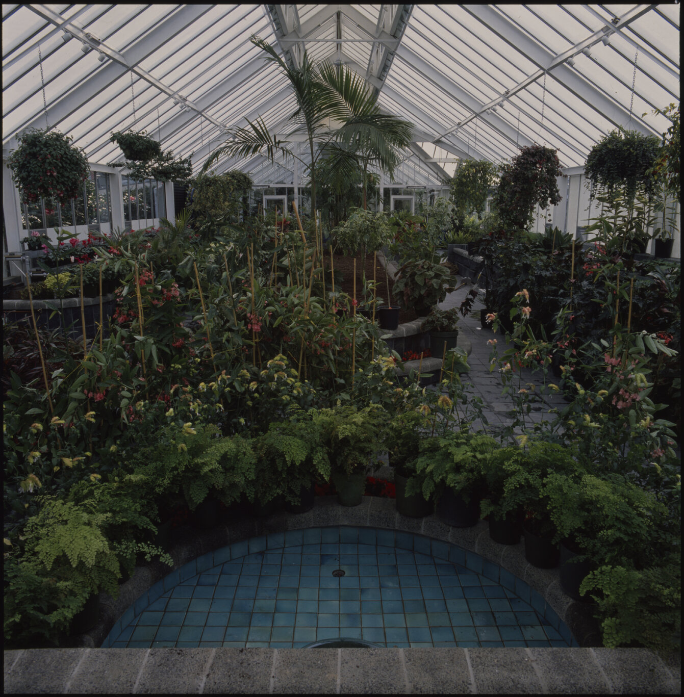 Parks and Recreation - Botanical Gardens: Begonia House