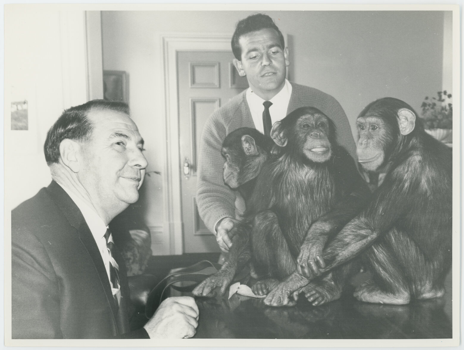 Frank Kitts with 3 chimpanzees