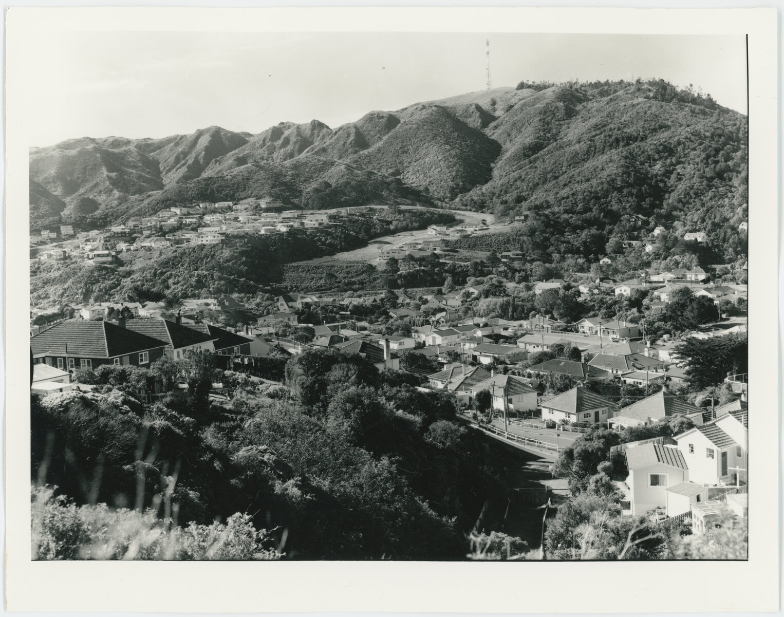 Ngaio and Khandallah, view from Mysore Street