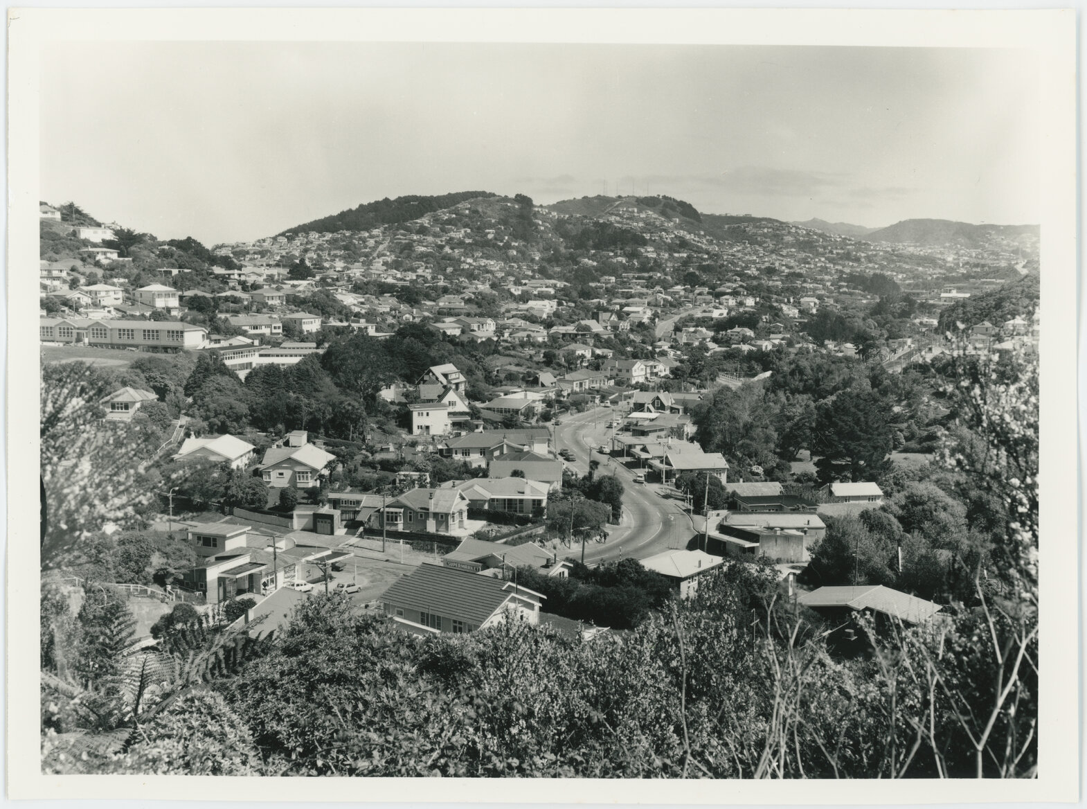 Ngaio, view from Fox Street