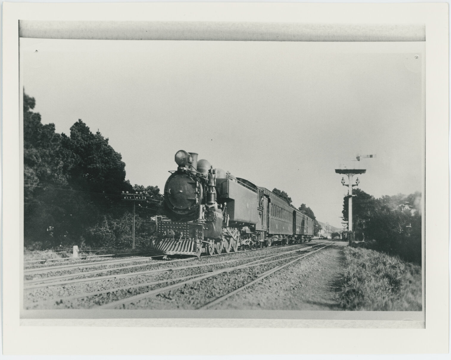 Train on Johnsonville Railway Line, Khandallah