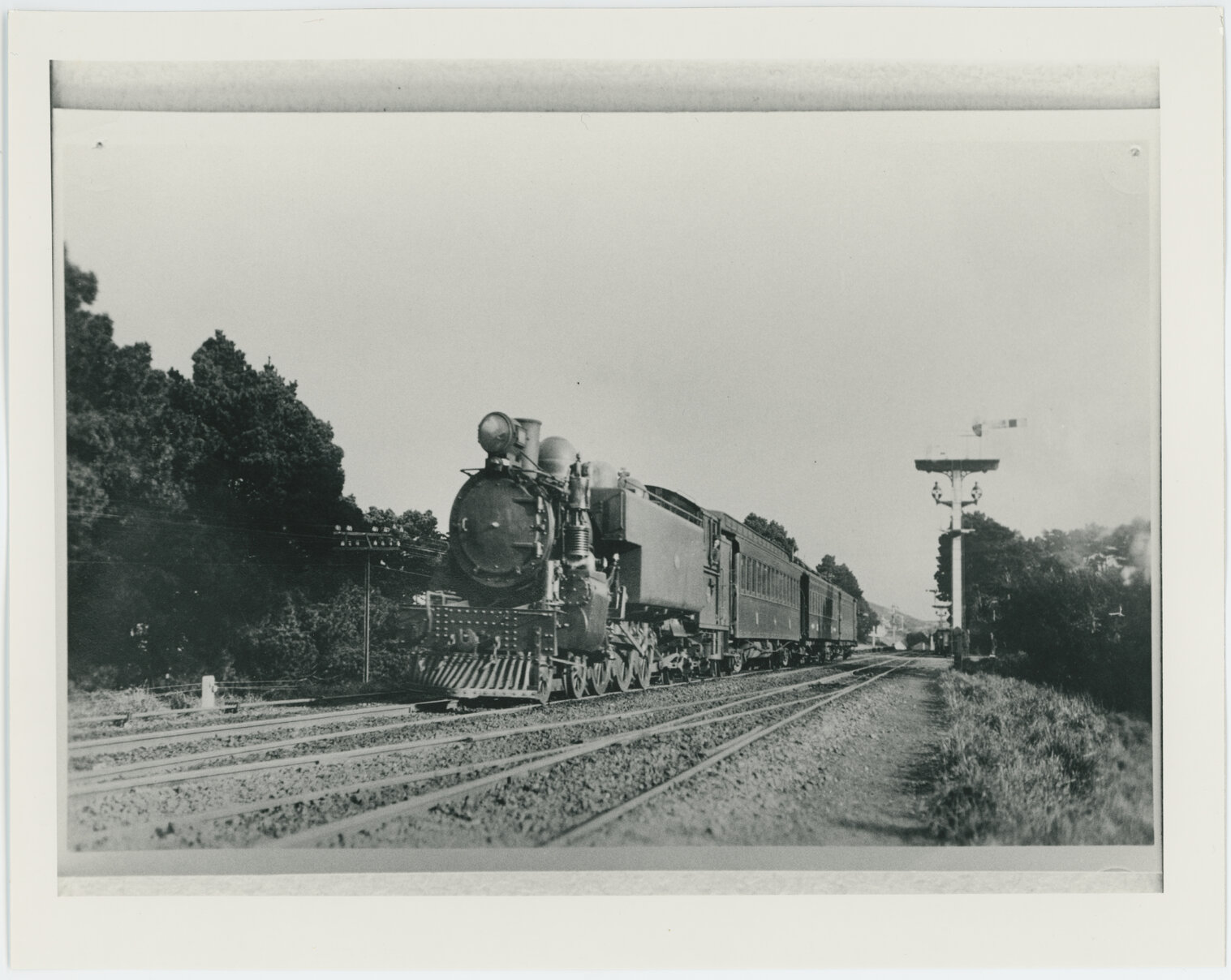 Train on Johnsonville Railway Line, Khandallah