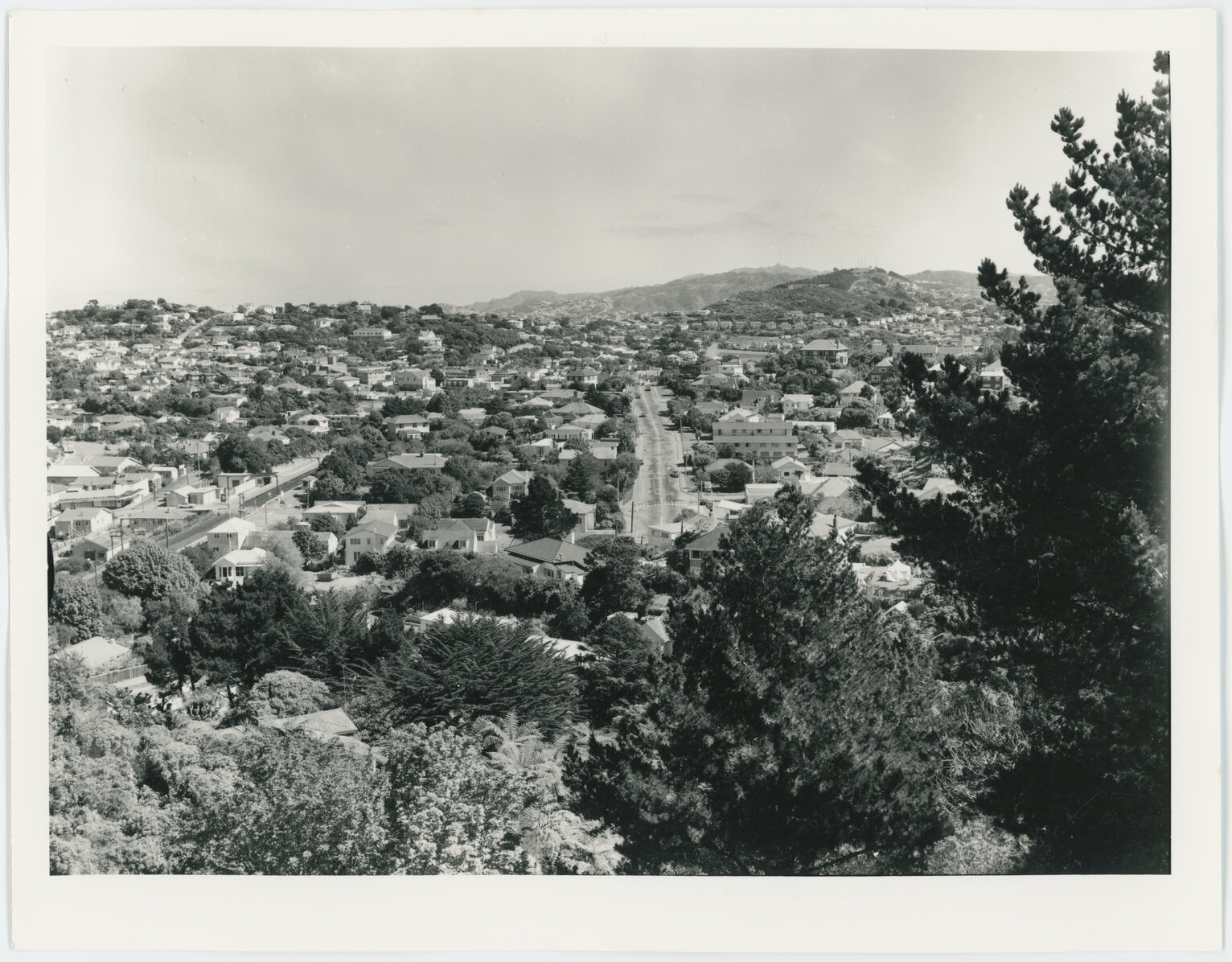 Box Hill, Khandallah, view looking south