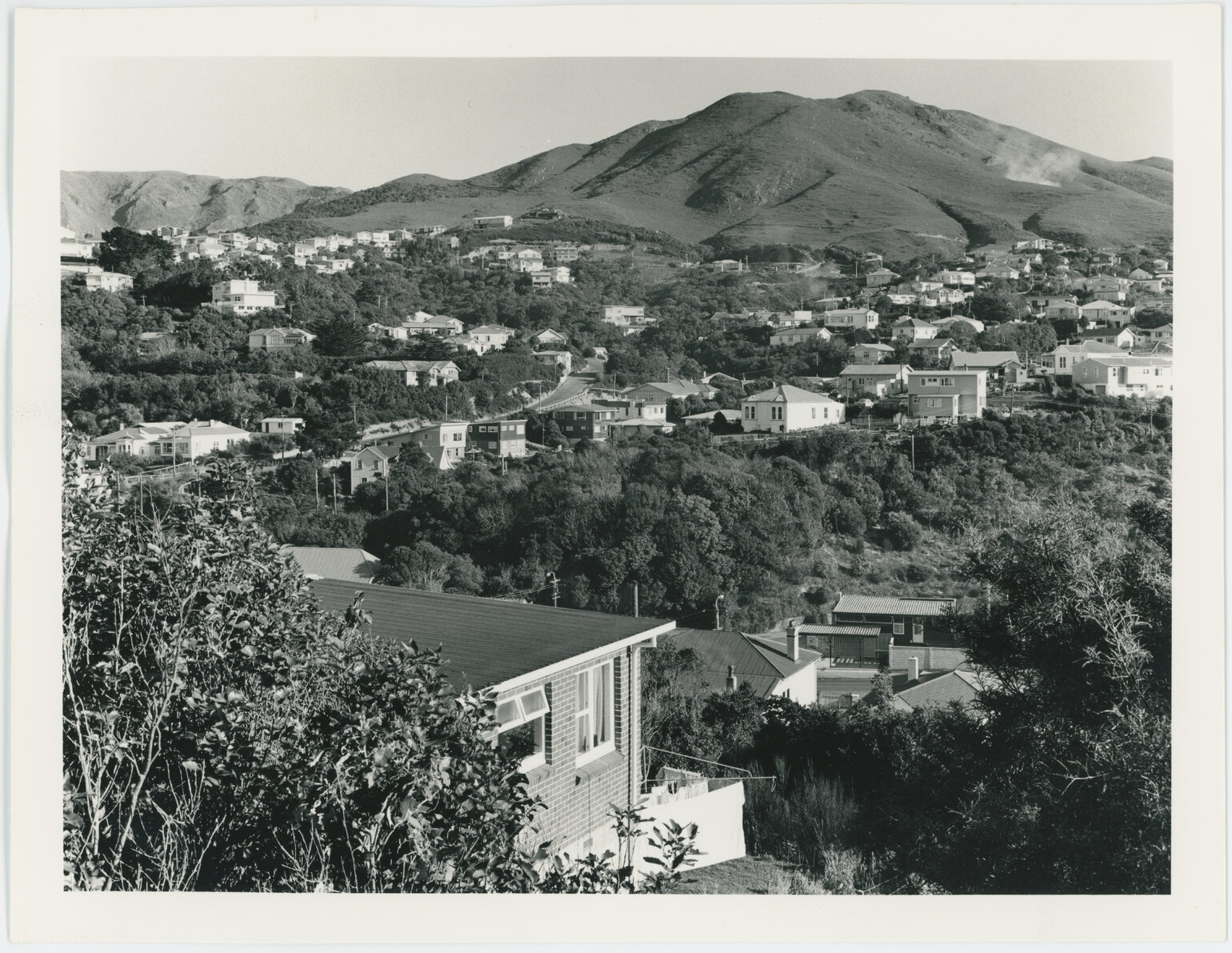 Ngaio, view from Abbott Street 