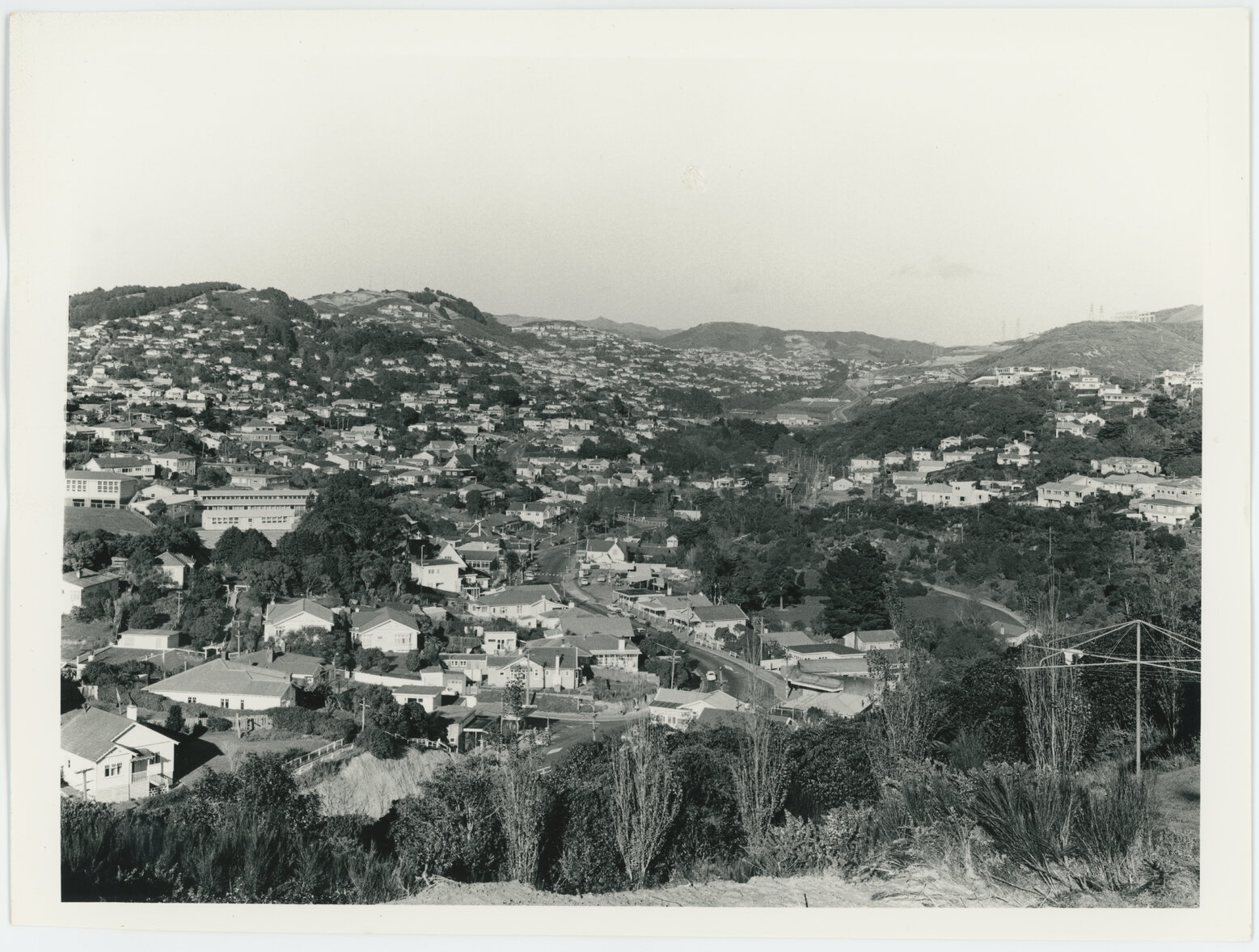 Ngaio, view looking south