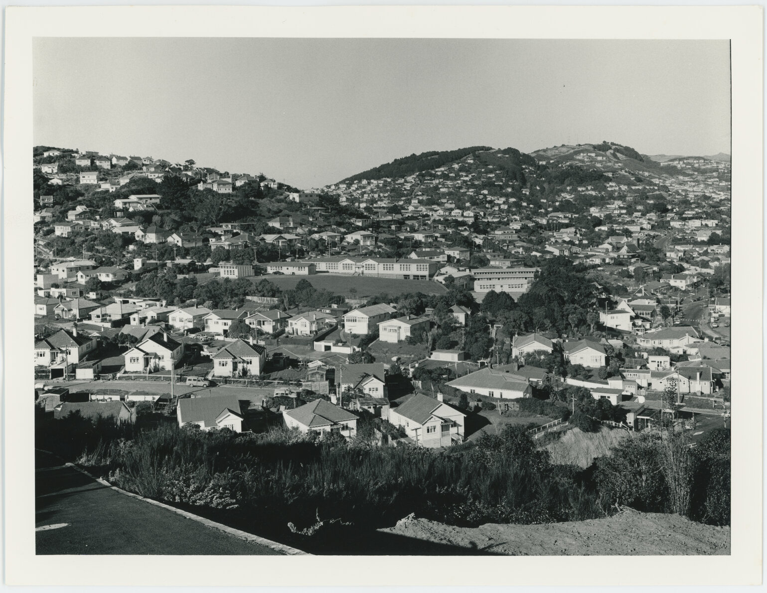 Ngaio, view looking east