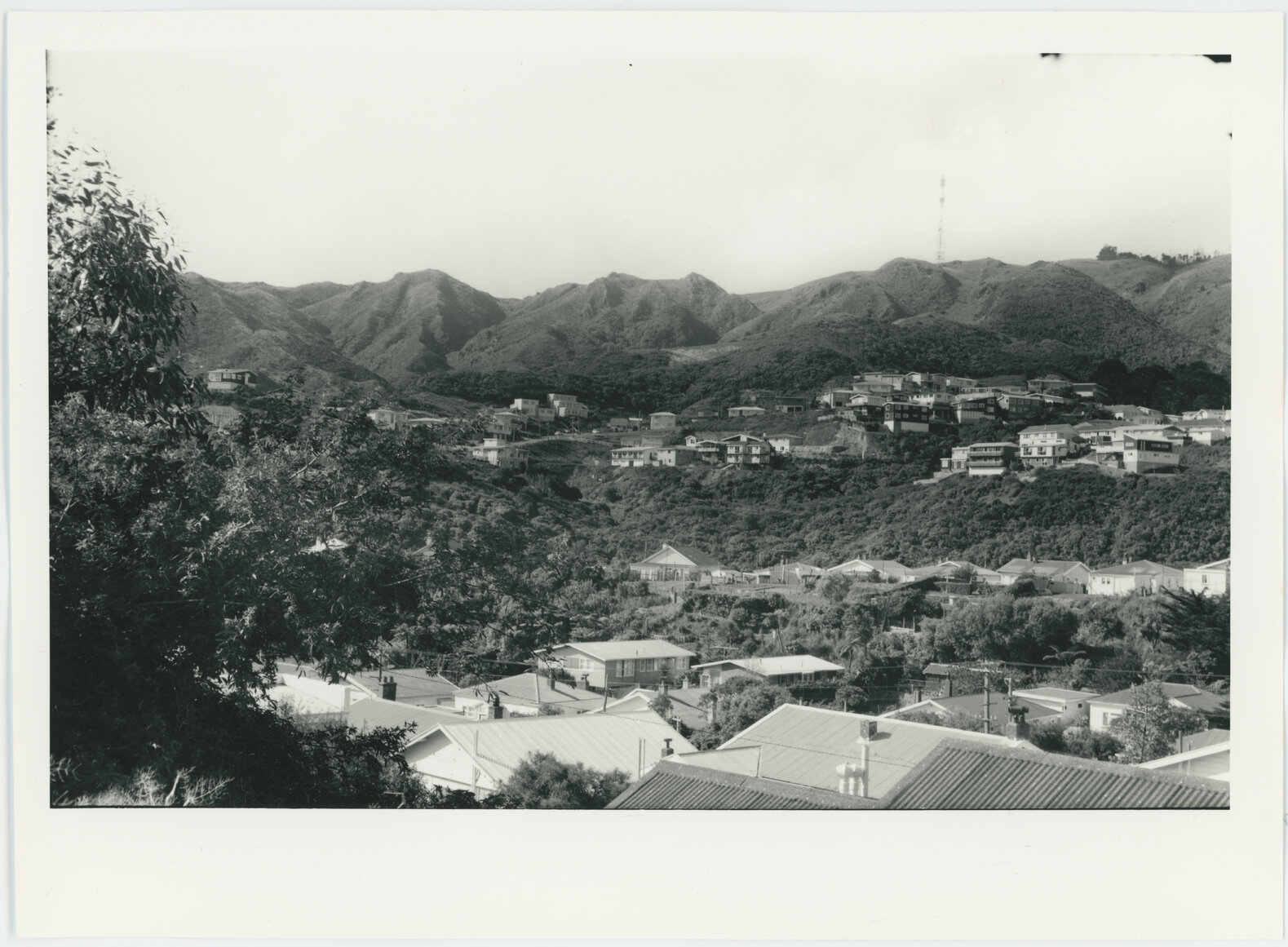 Ngaio, view from Alpin Terrace