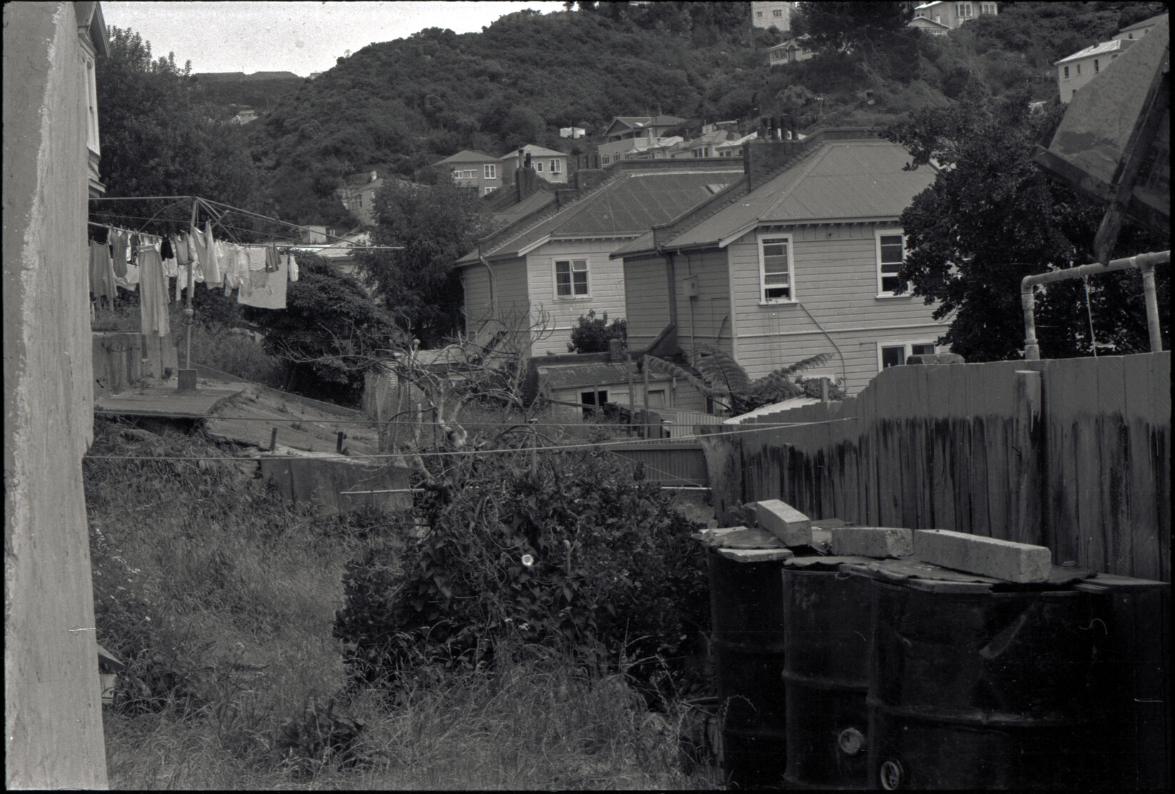 Houses in Aro Street area, Scott