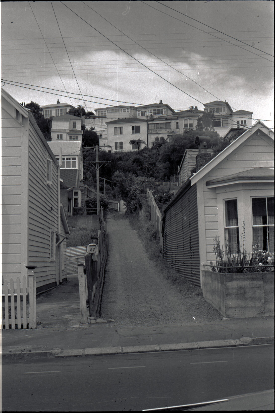 Houses in Aro Street area, Scott