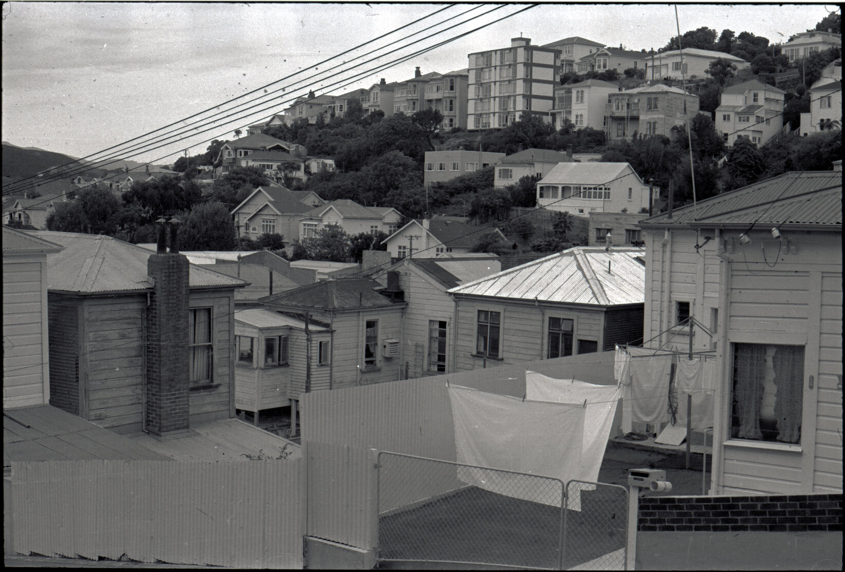 Houses in Aro Street area, Scott