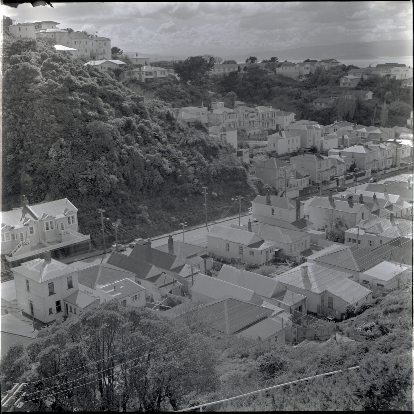 Houses in Aro Street area, Scott