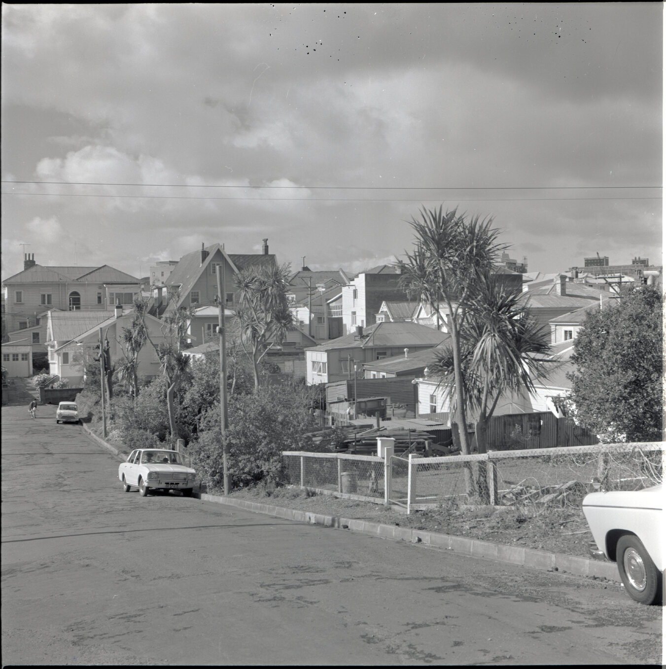 Houses in Aro Street area, Scott