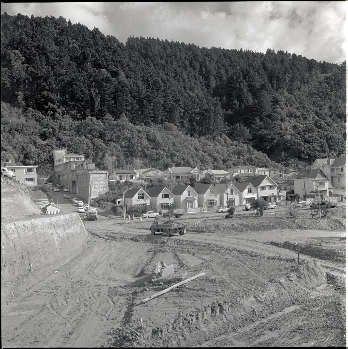 Houses in Aro Street area, Scott