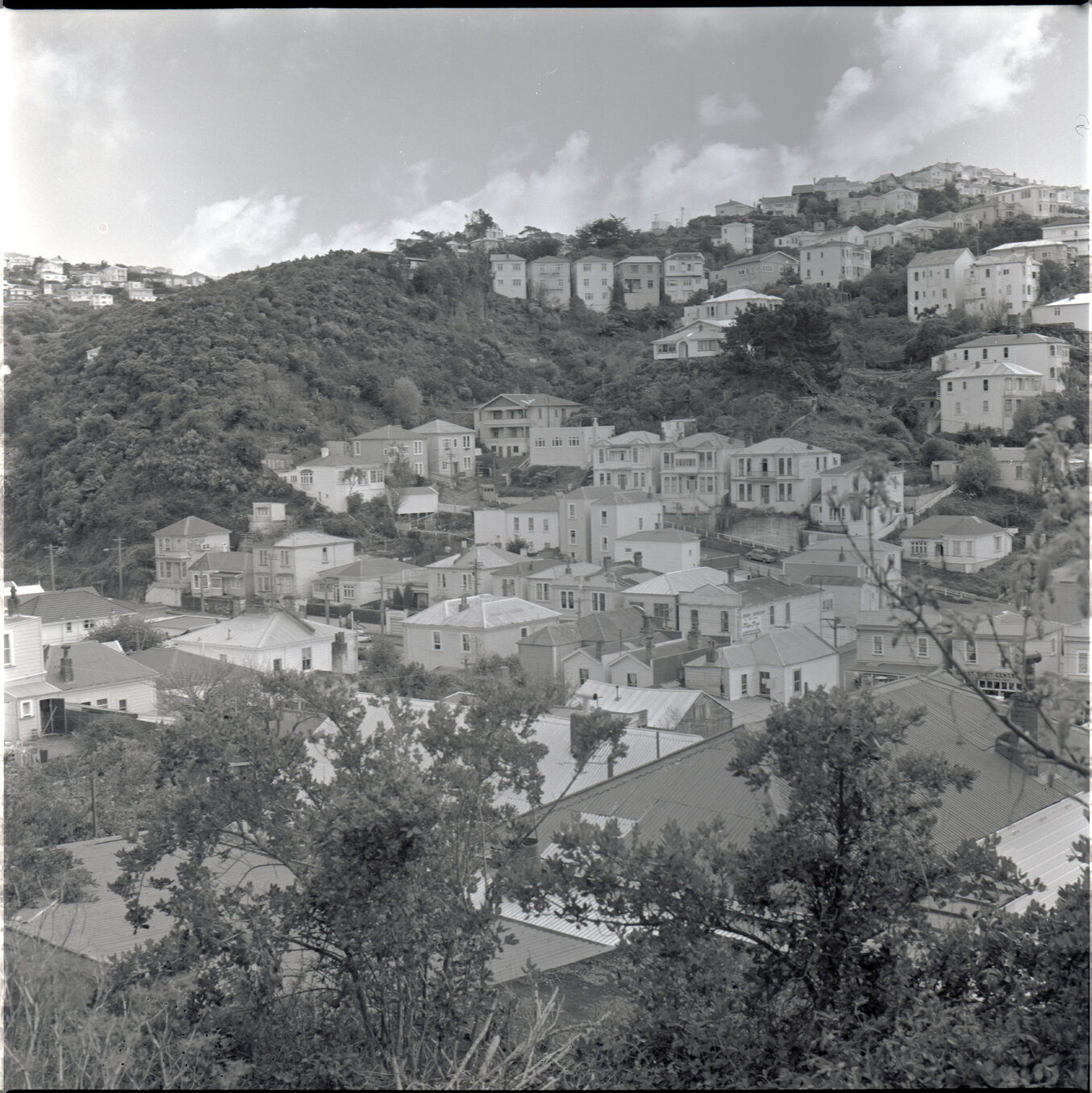 Houses in Aro Street area, Scott