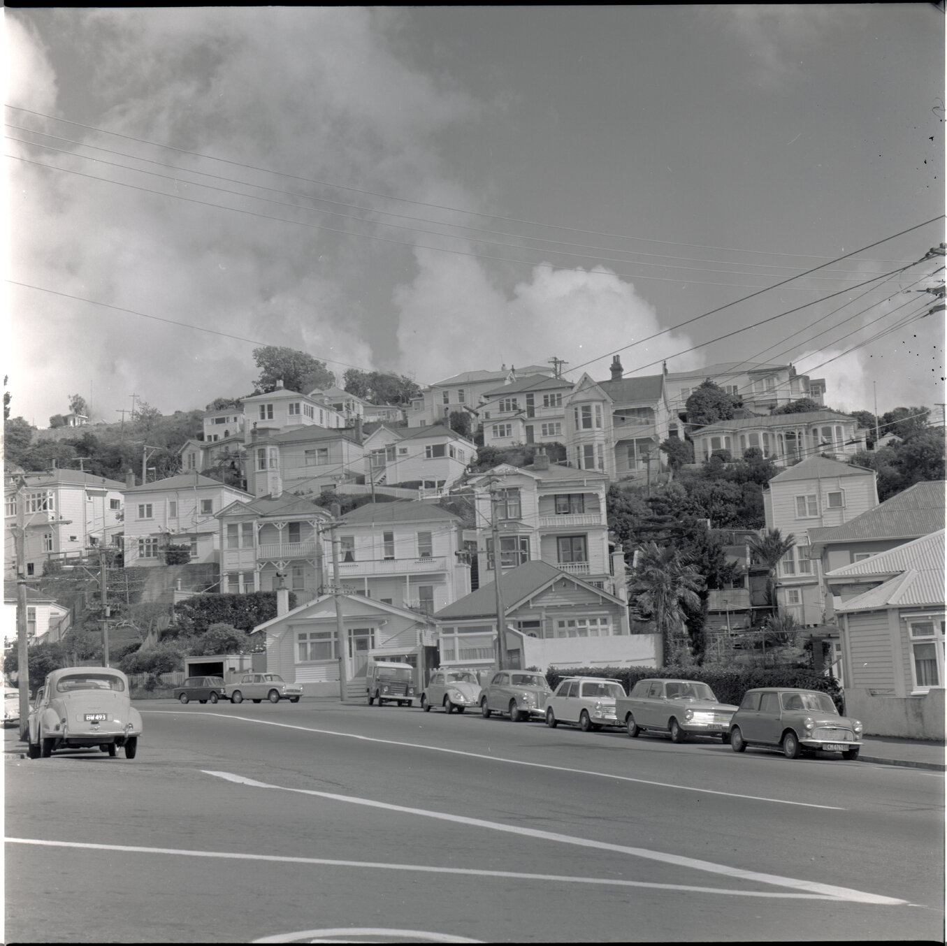 Houses in Aro Street area, Scott