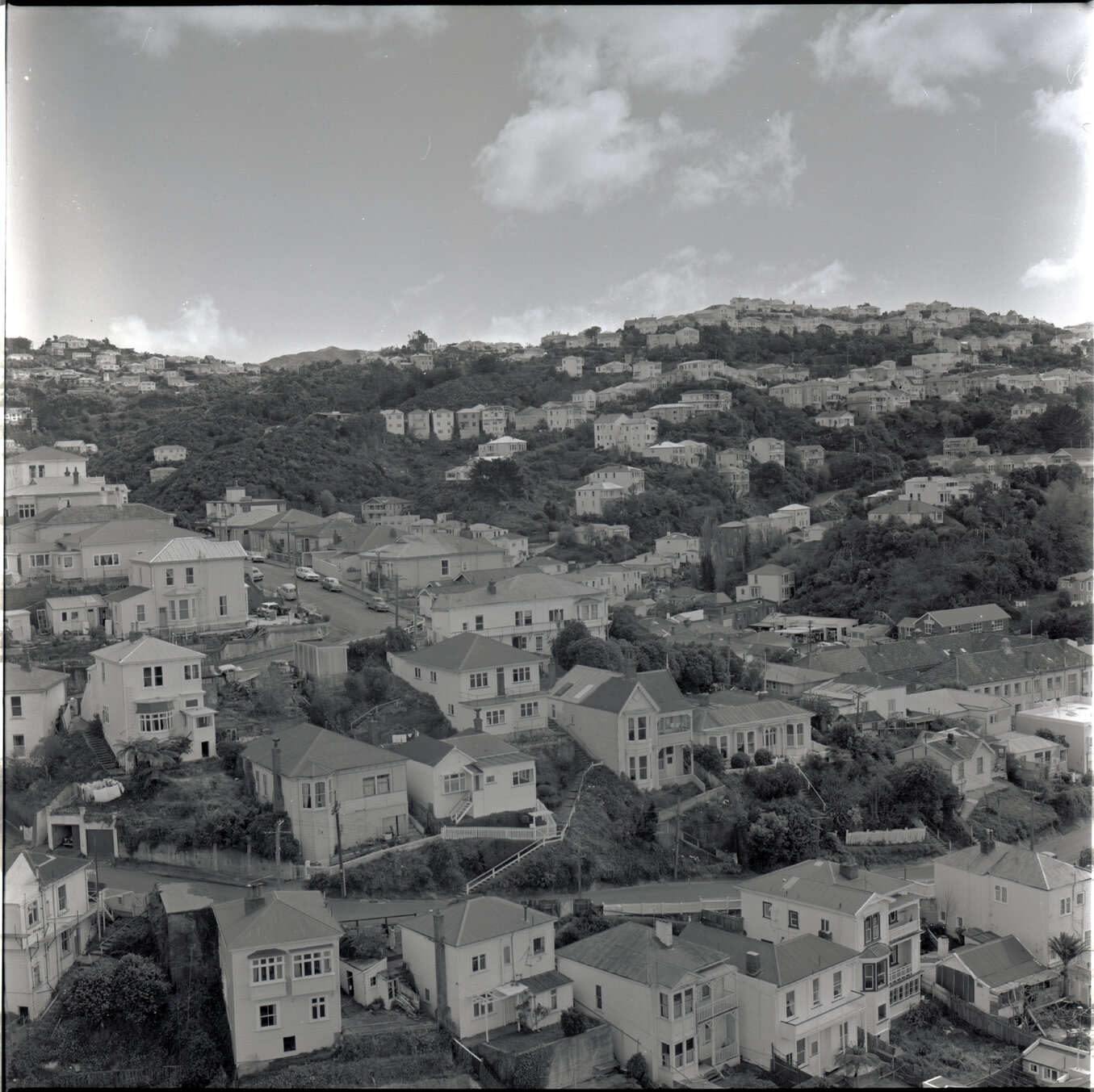 Houses in Aro Street area, Scott