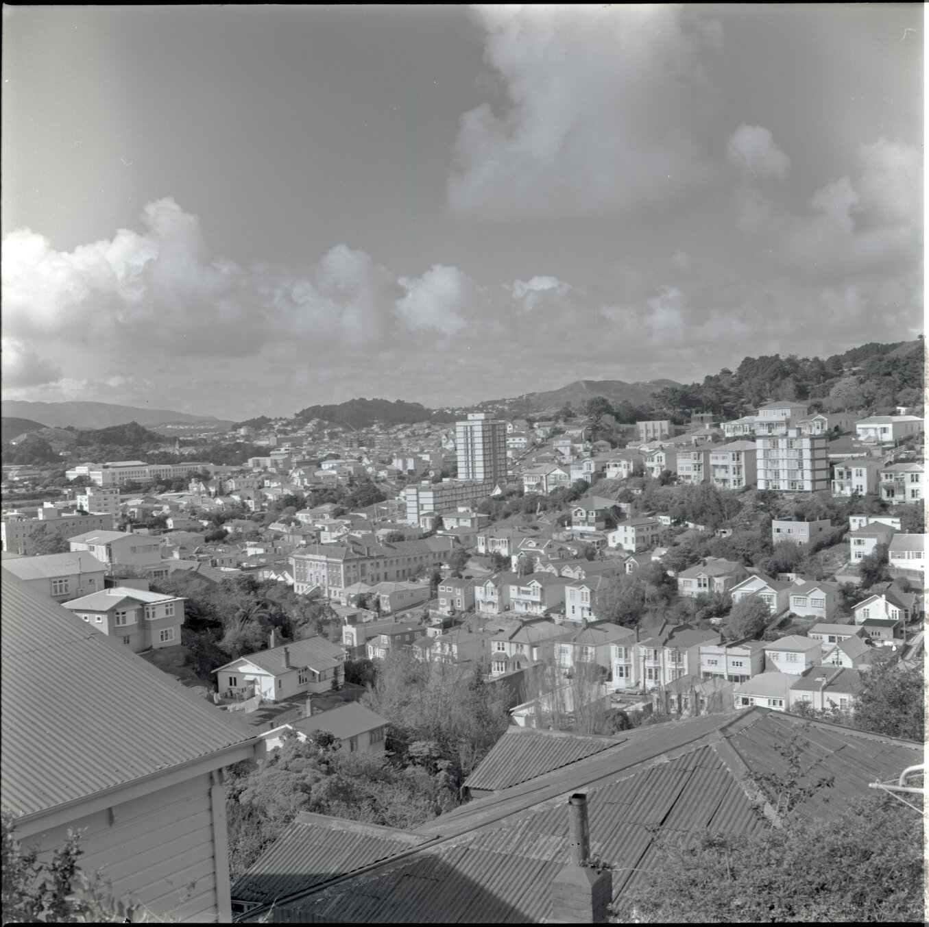 Houses in Aro Street area, Scott
