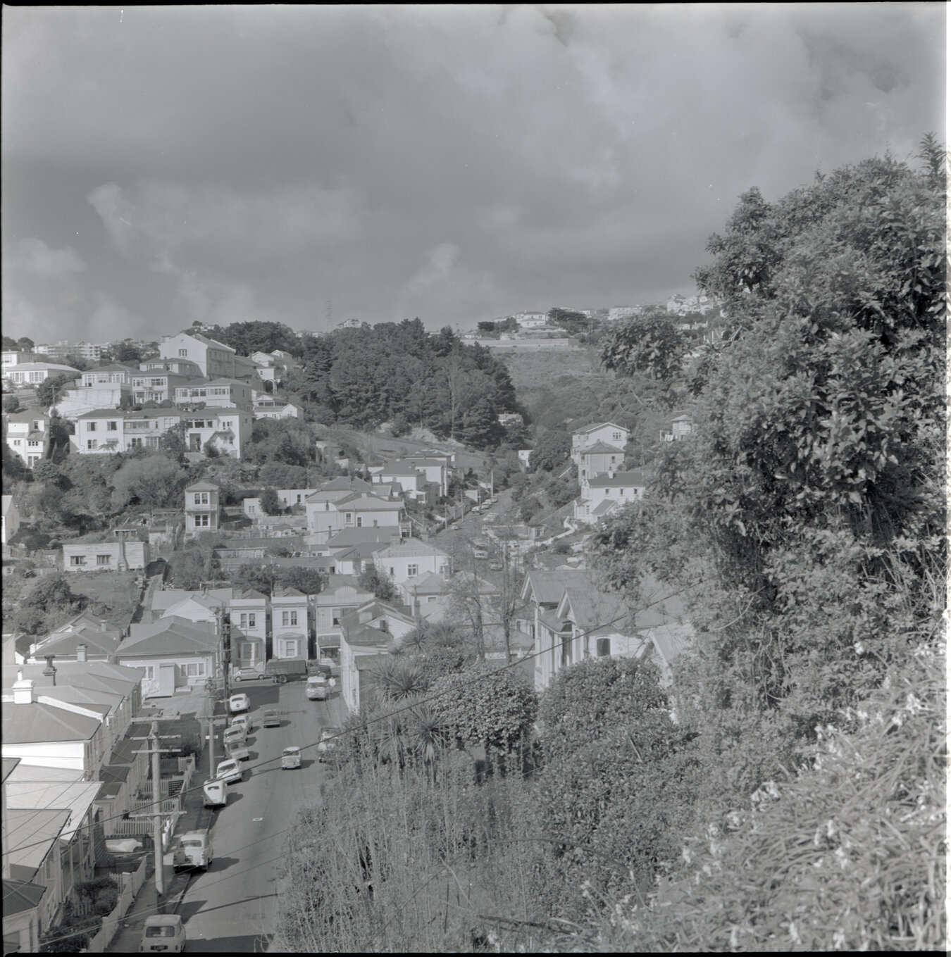 Houses in Aro Street area, Scott