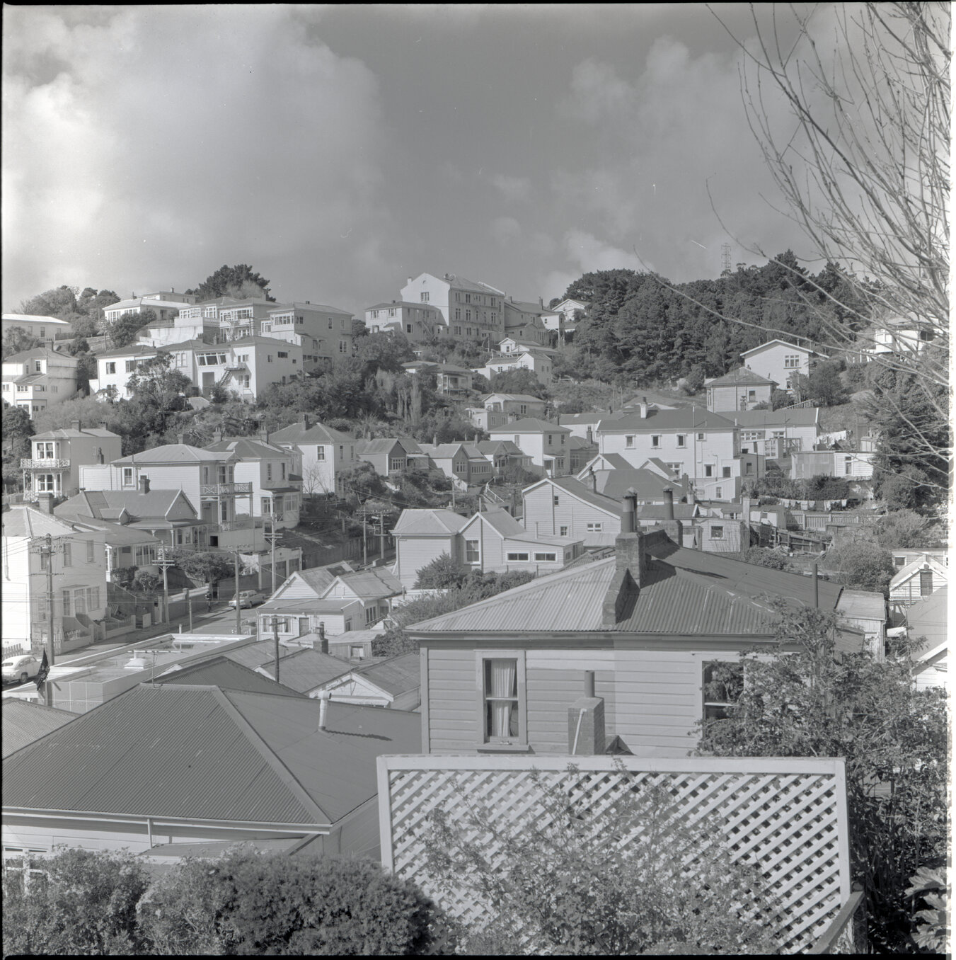 Houses in Aro Street area, Scott