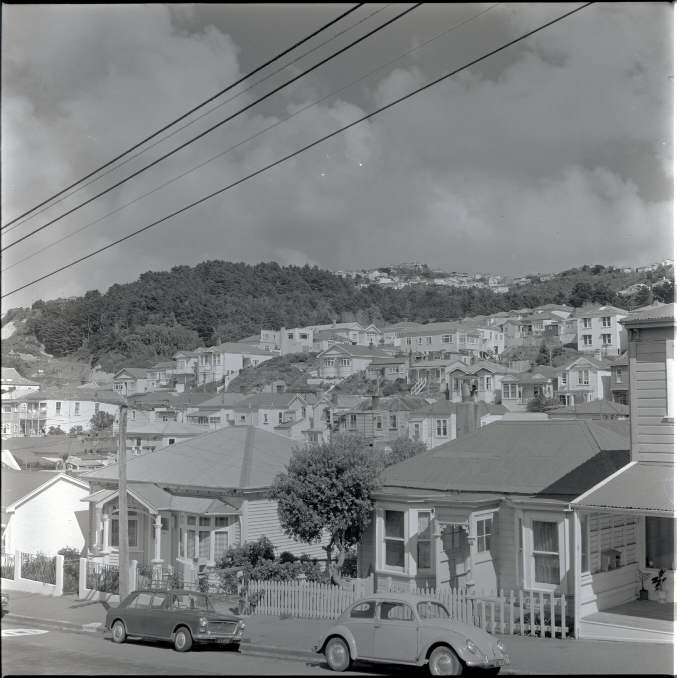 Houses in Aro Street area, Scott