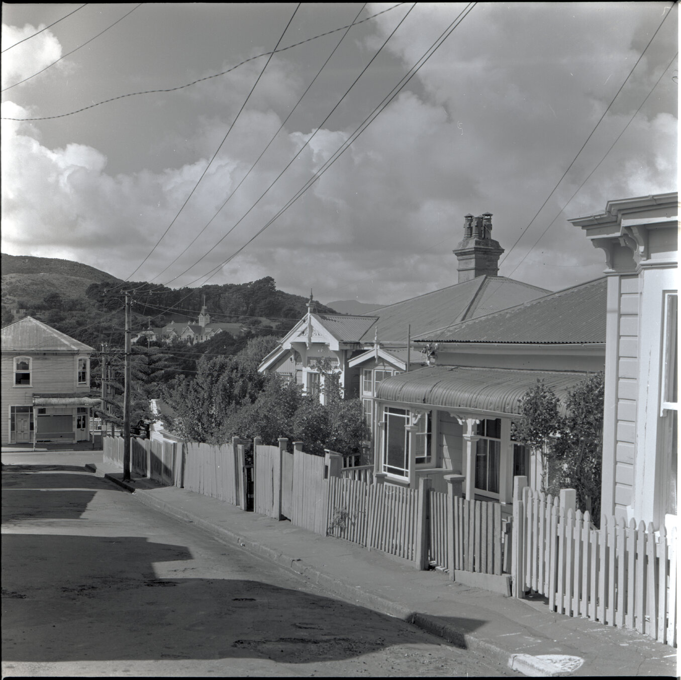 Houses in Aro Street area, Scott