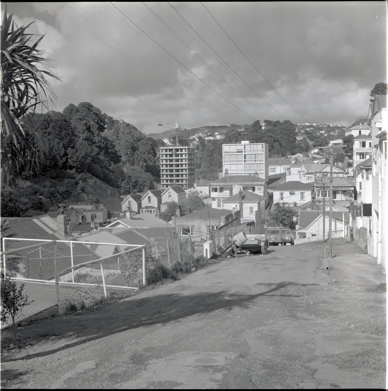 Houses in Aro Street area, Scott