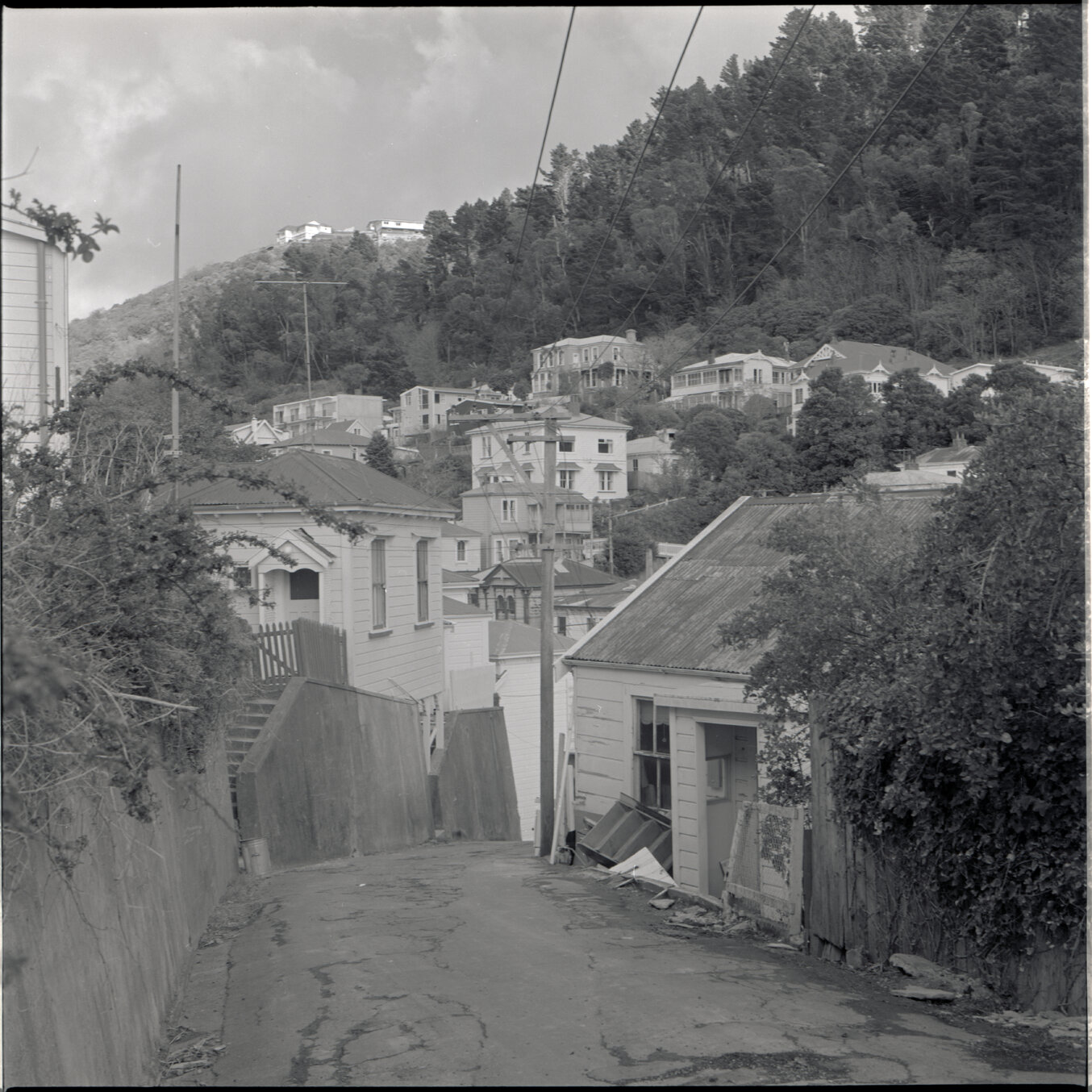 Houses in Aro Street area, Scott