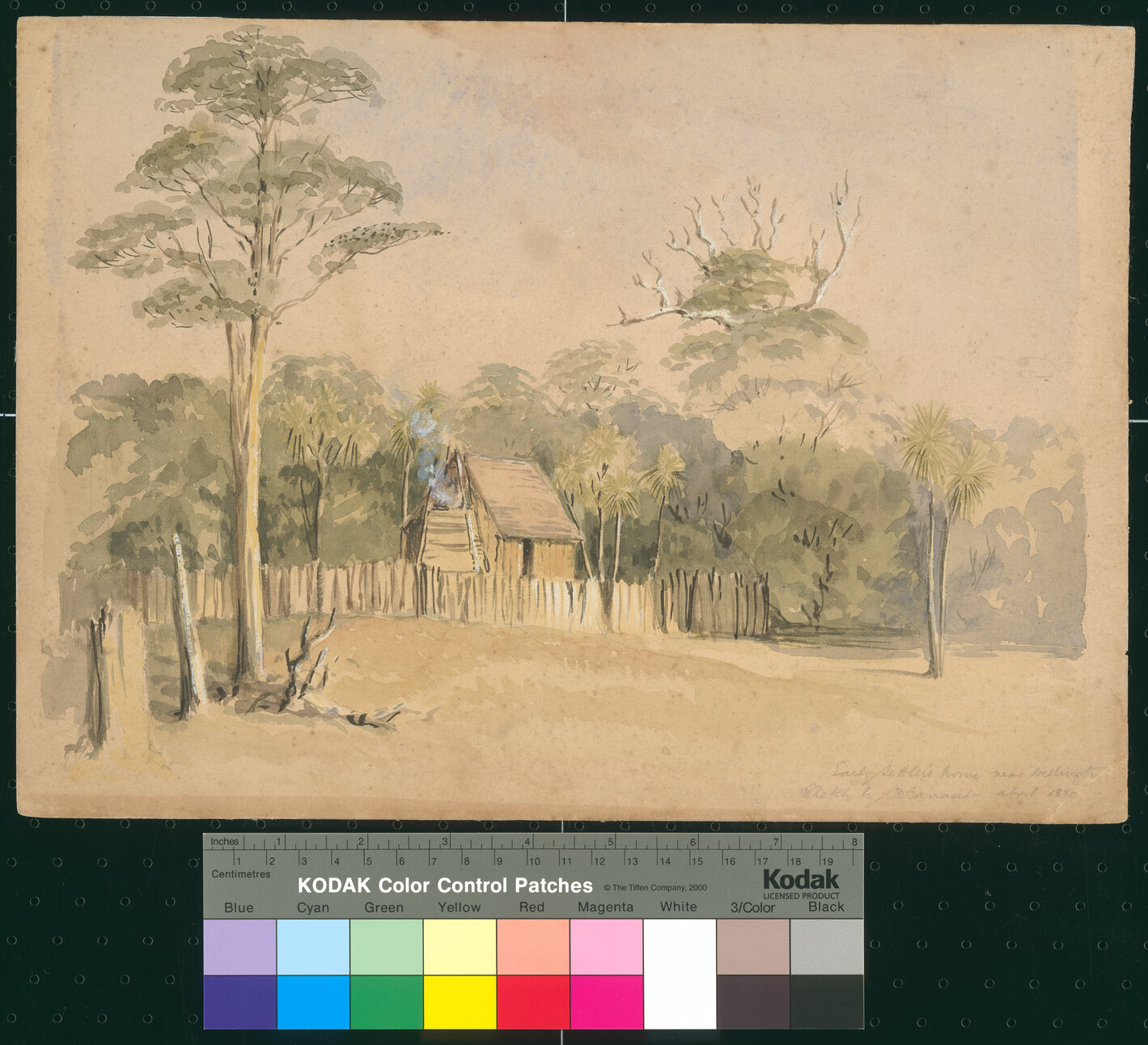 Sketch by Charles Decimus Barraud: Early settler's home near Wellington