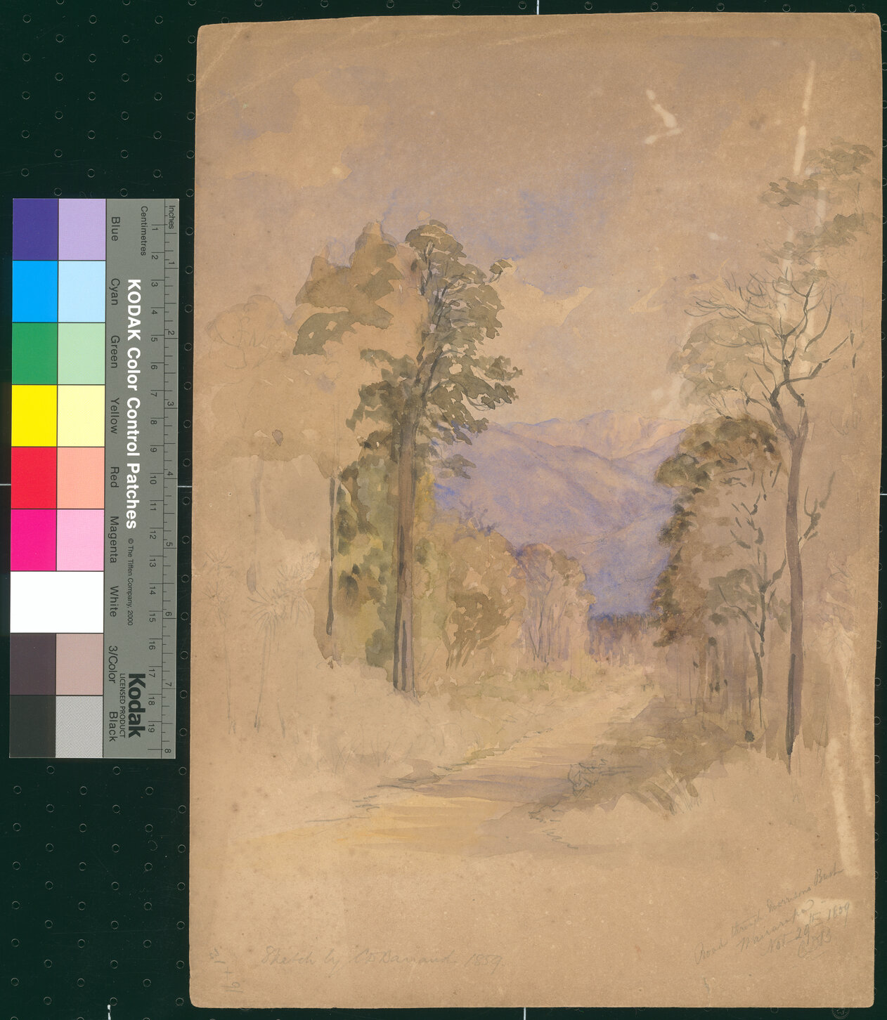 Sketches by Charles Decimus Barraud: a) Road through Morrison's Bush, Wairarapa, dated 29 November 1859, b) Settler erecting a temporary shelter in the bush, Upper Hutt, dated 30 November 1859