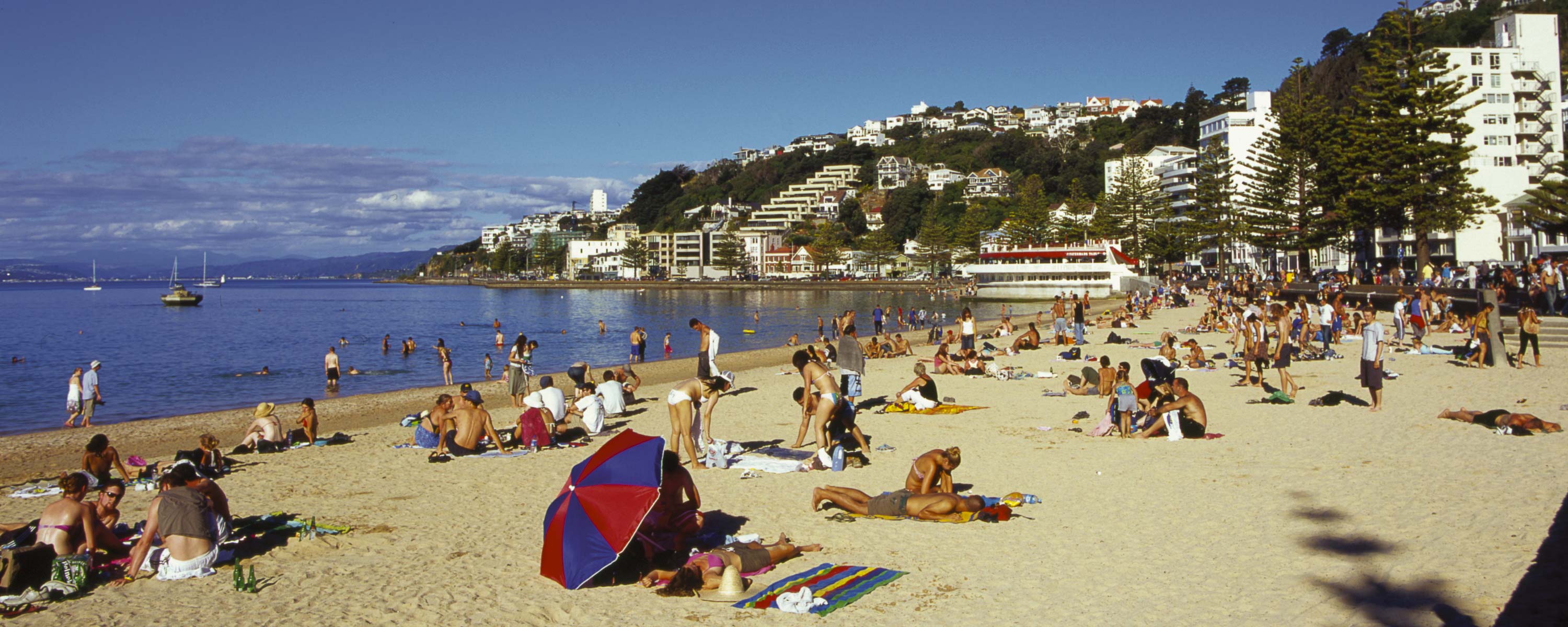 Oriental Bay Beach
