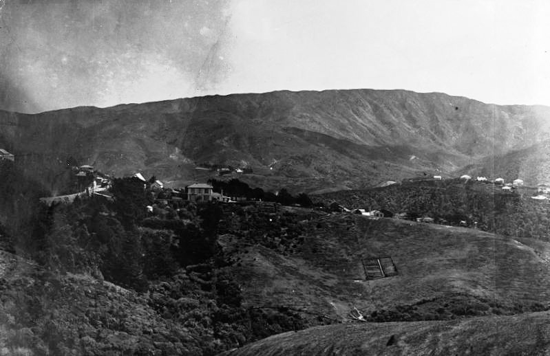 Newly established tram route, Wadestown