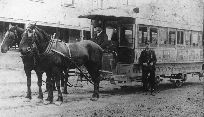 First horse tram in Wellington, pictured in Newtown