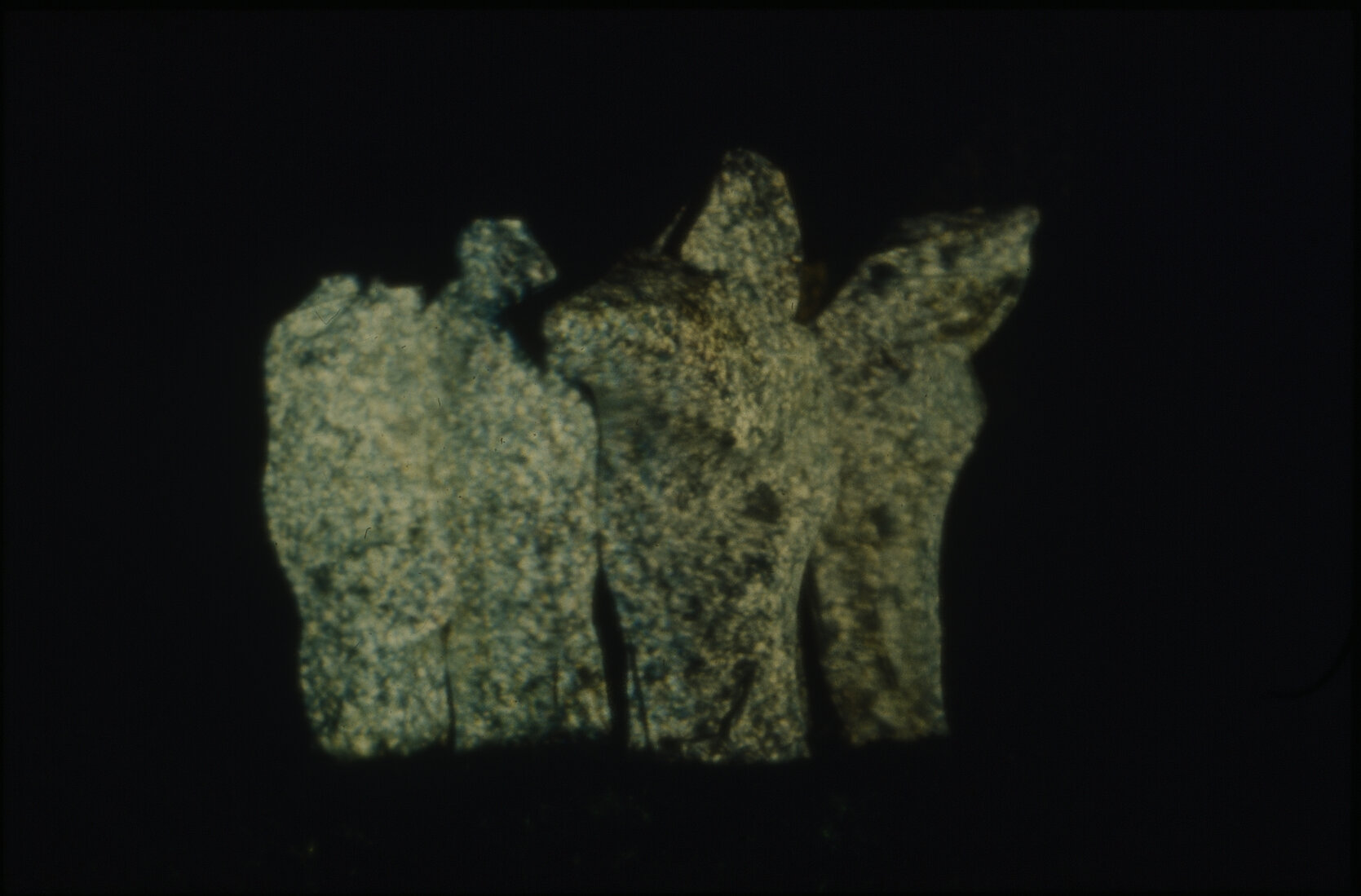 Summer City