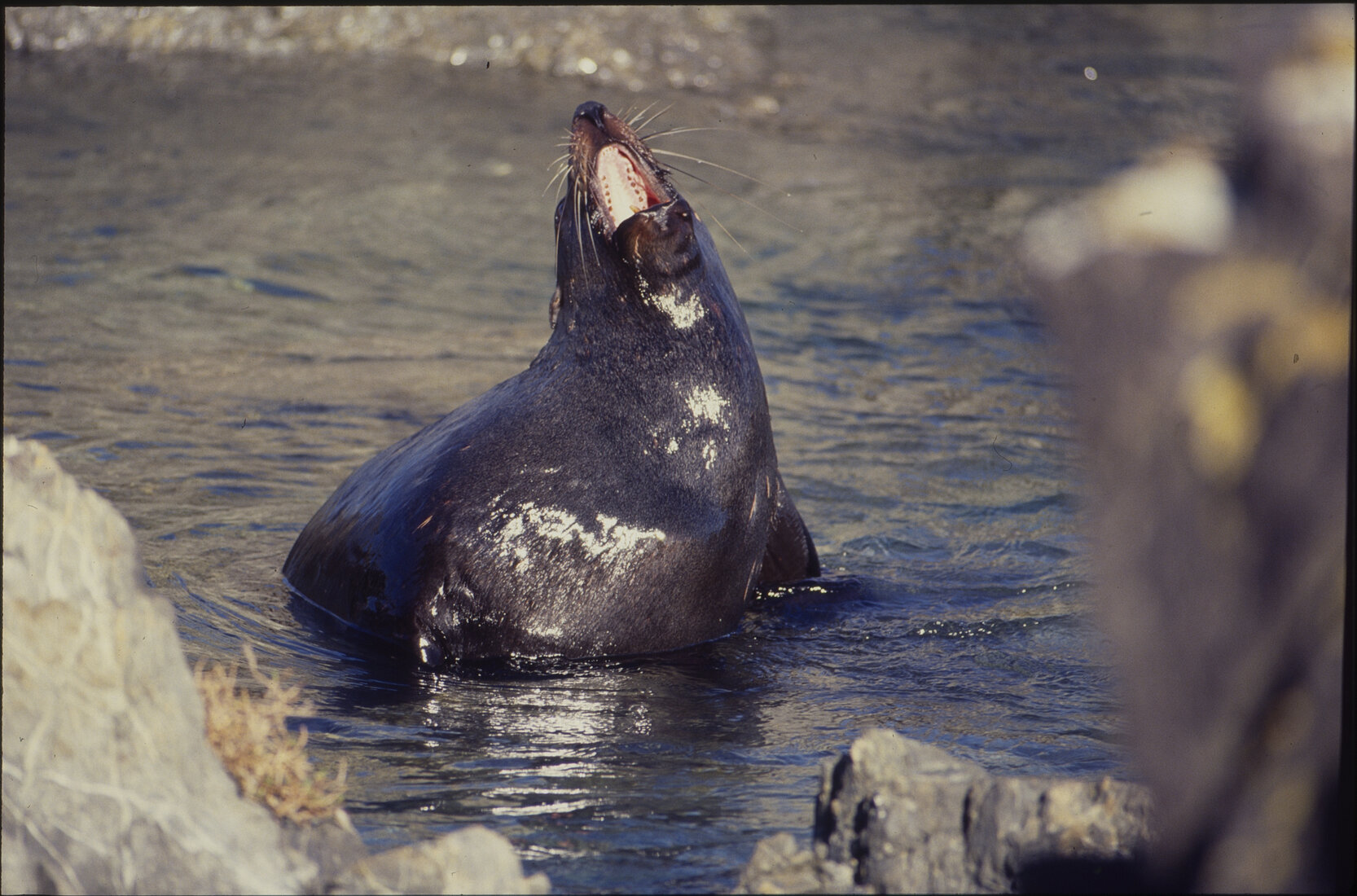 General - Southern Coastal Scenes