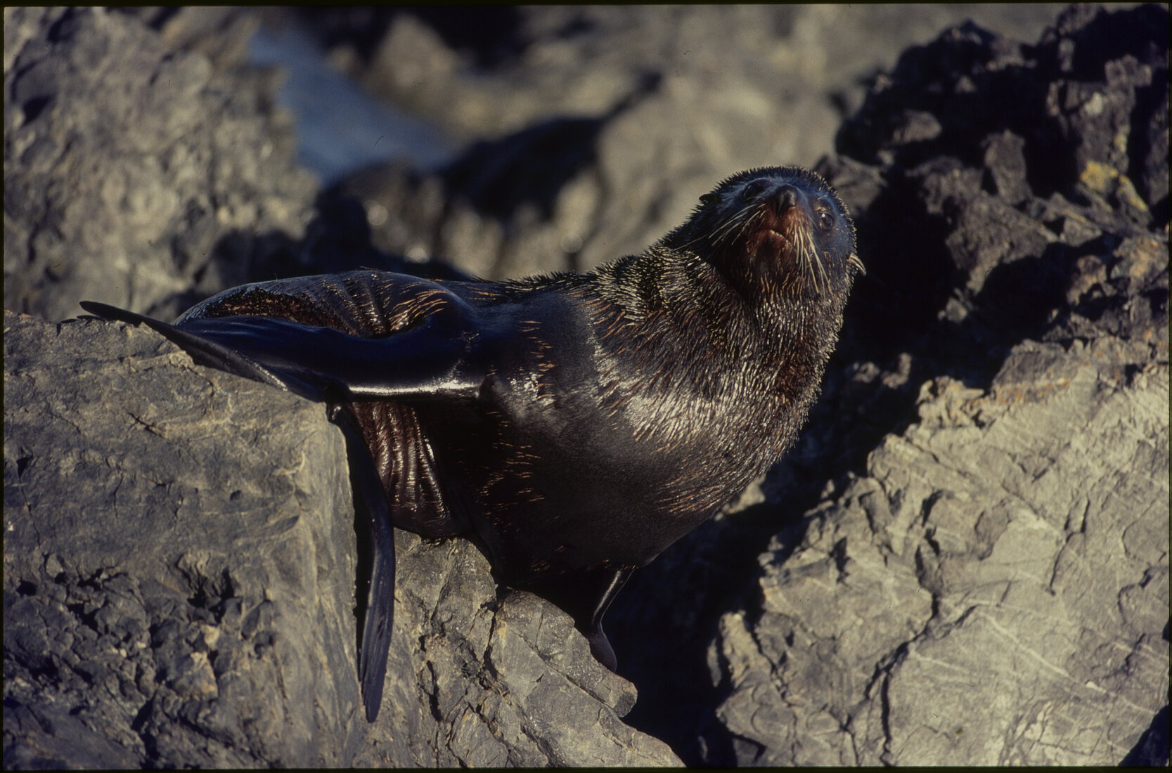 General - Southern Coastal Scenes