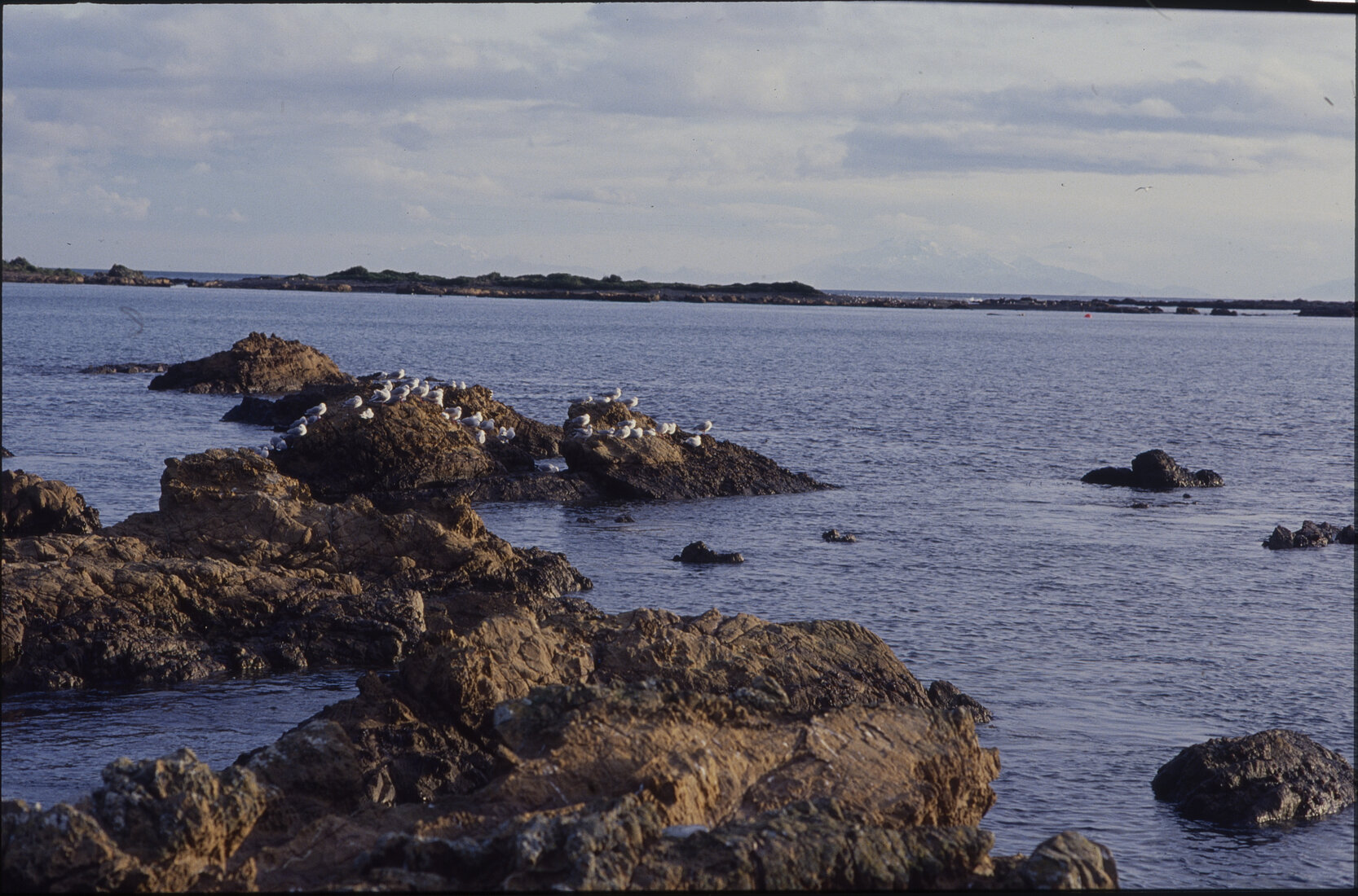 General - Southern Coastal Scenes