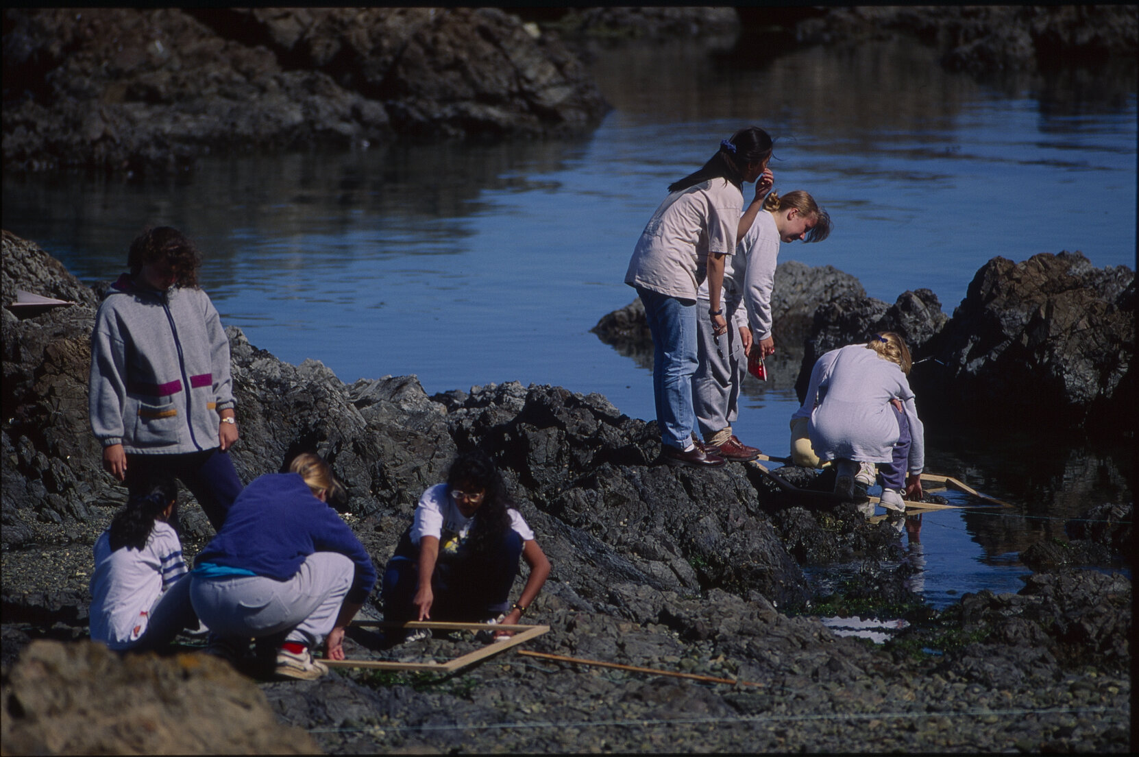 Southern Coastal Scenes, Island Bay