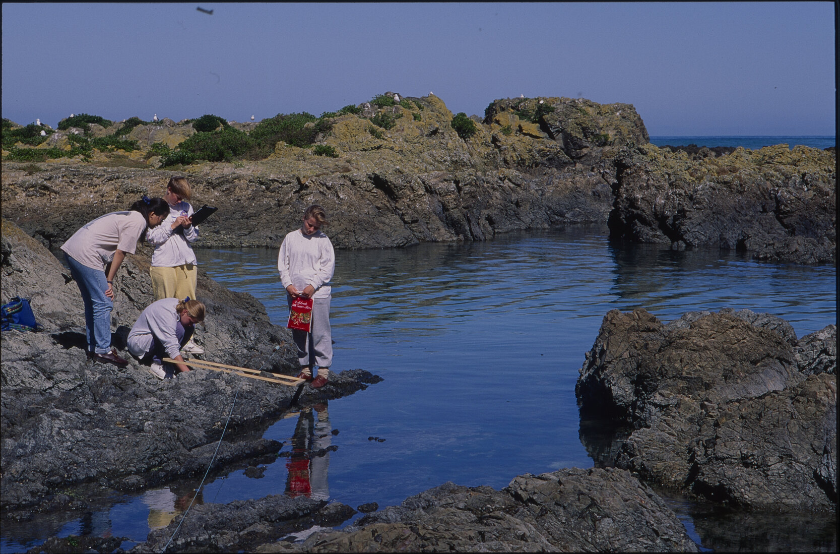 Southern Coastal Scenes, Island Bay