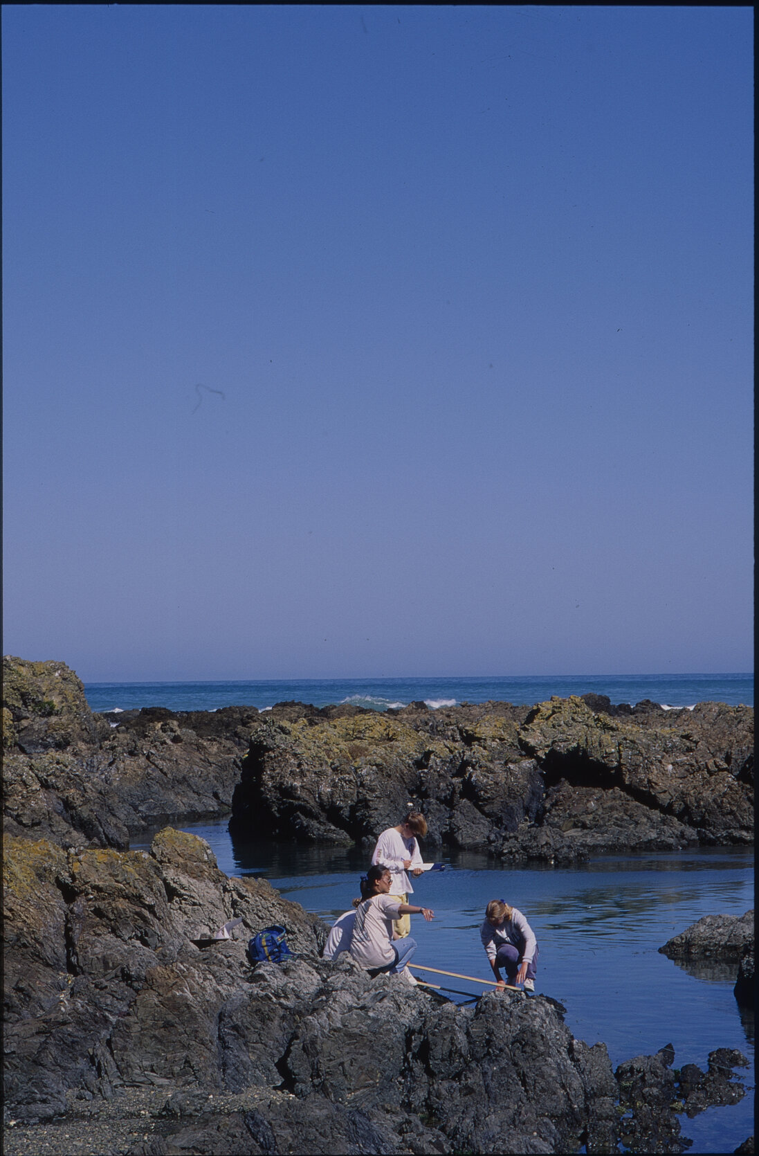 Southern Coastal Scenes, Island Bay