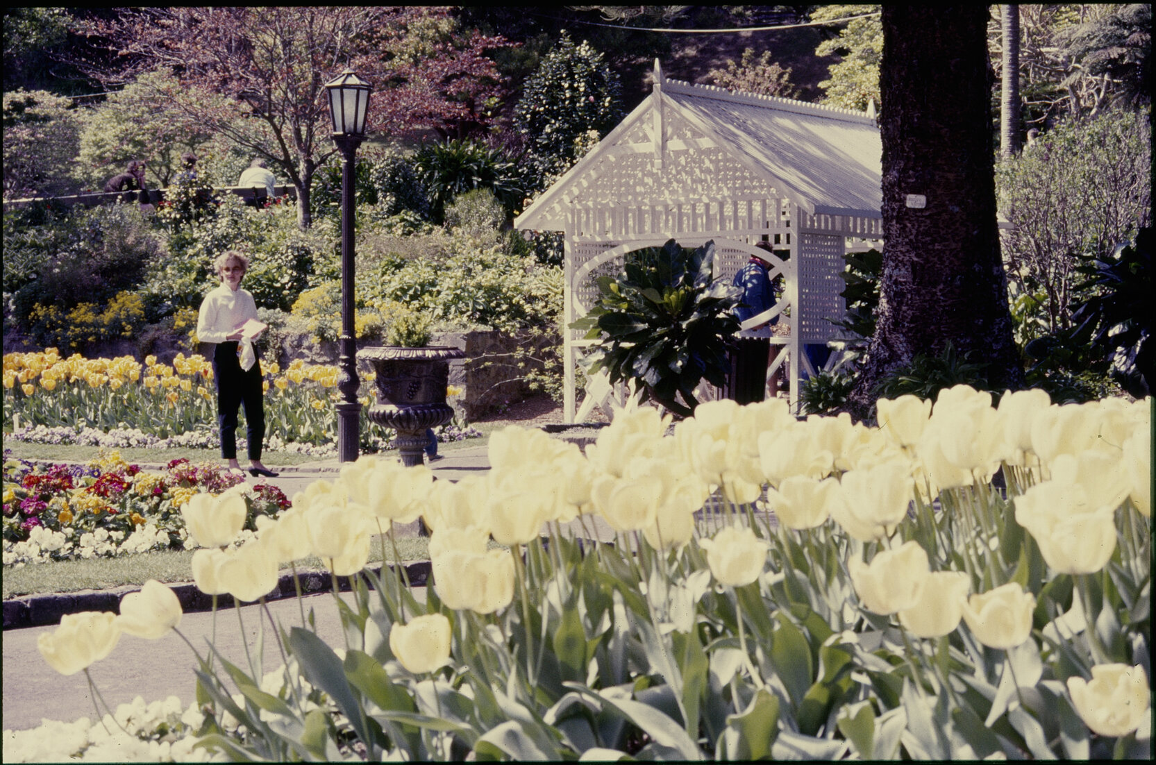 Parks and Recreation - Botanical Gardens