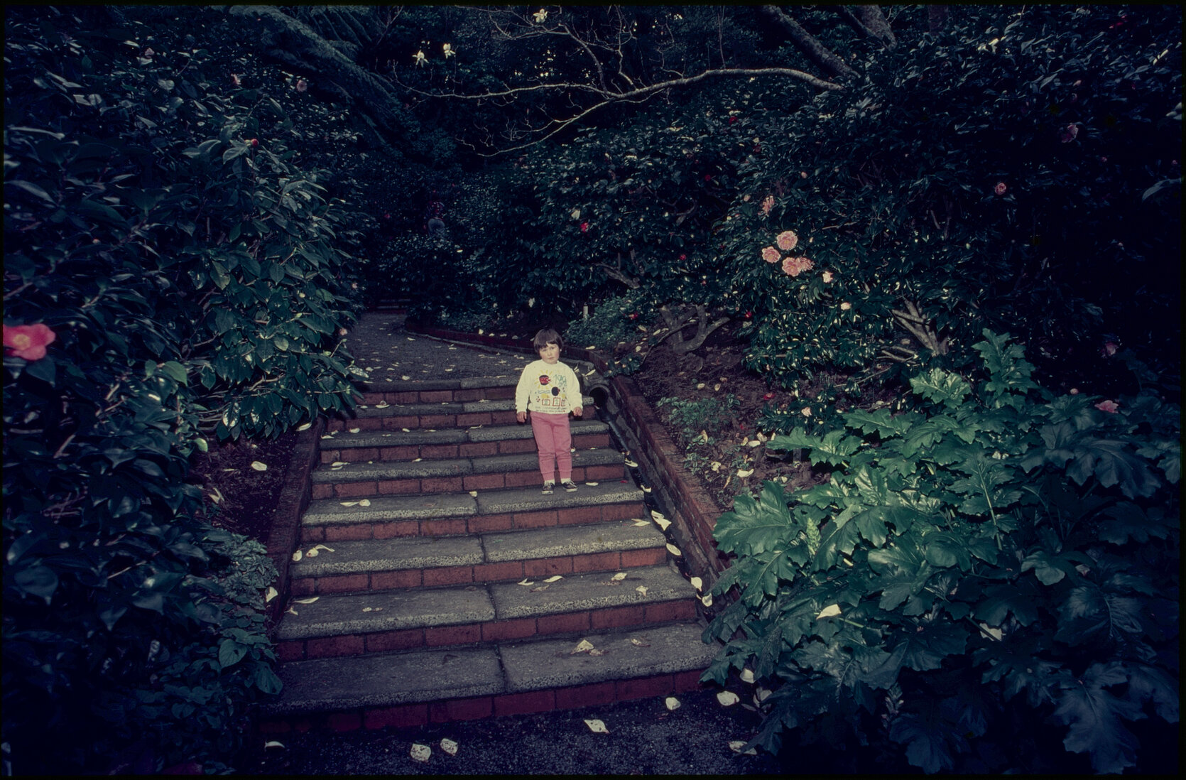 Parks and Recreation - Botanical Gardens