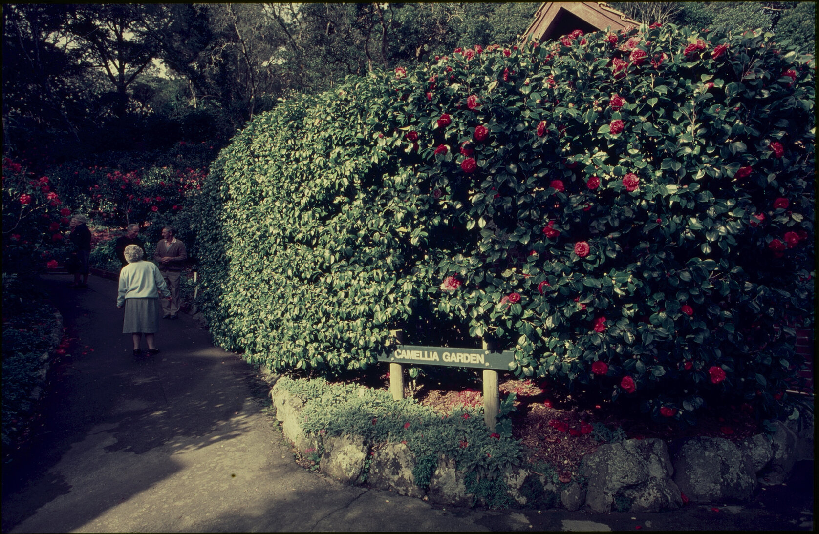 Parks and Recreation - Botanical Gardens