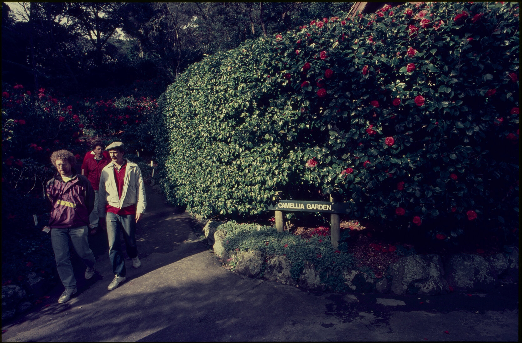 Parks and Recreation - Botanical Gardens