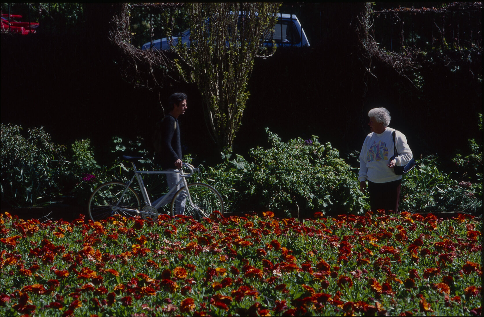Parks and Recreation - Botanical Gardens