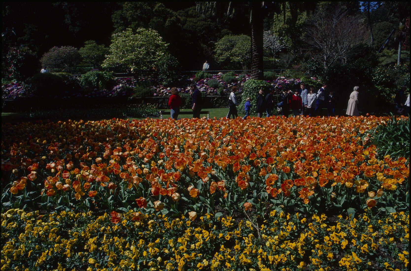Parks and Recreation - Botanical Gardens
