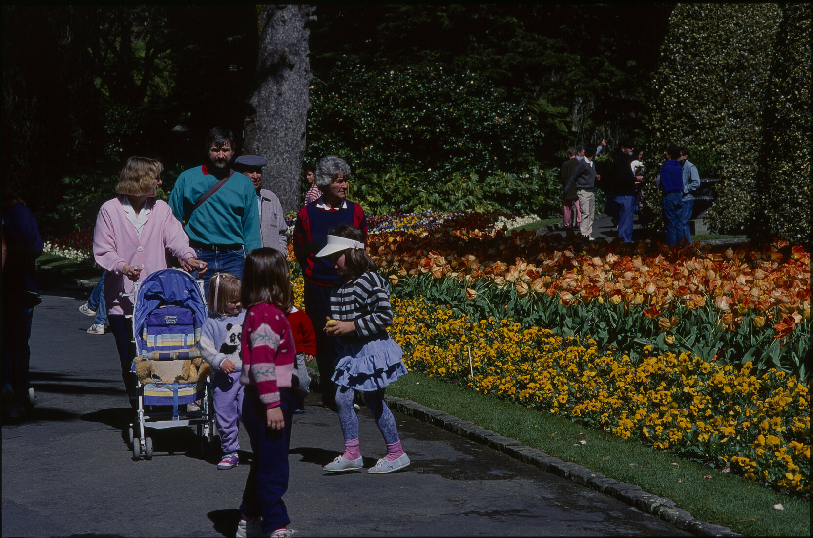 Parks and Recreation - Botanical Gardens