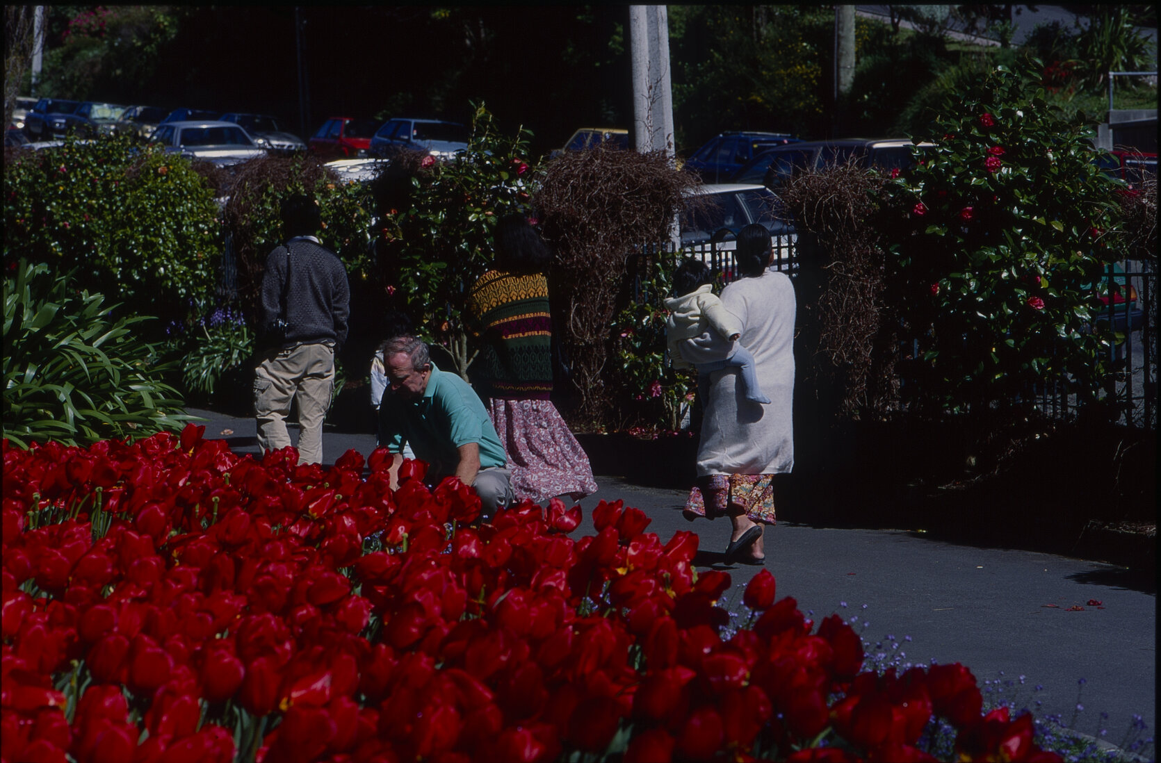 Parks and Recreation - Botanical Gardens
