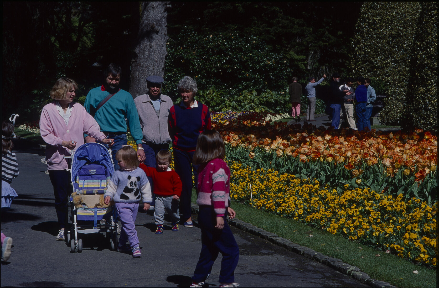 Parks and Recreation - Botanical Gardens