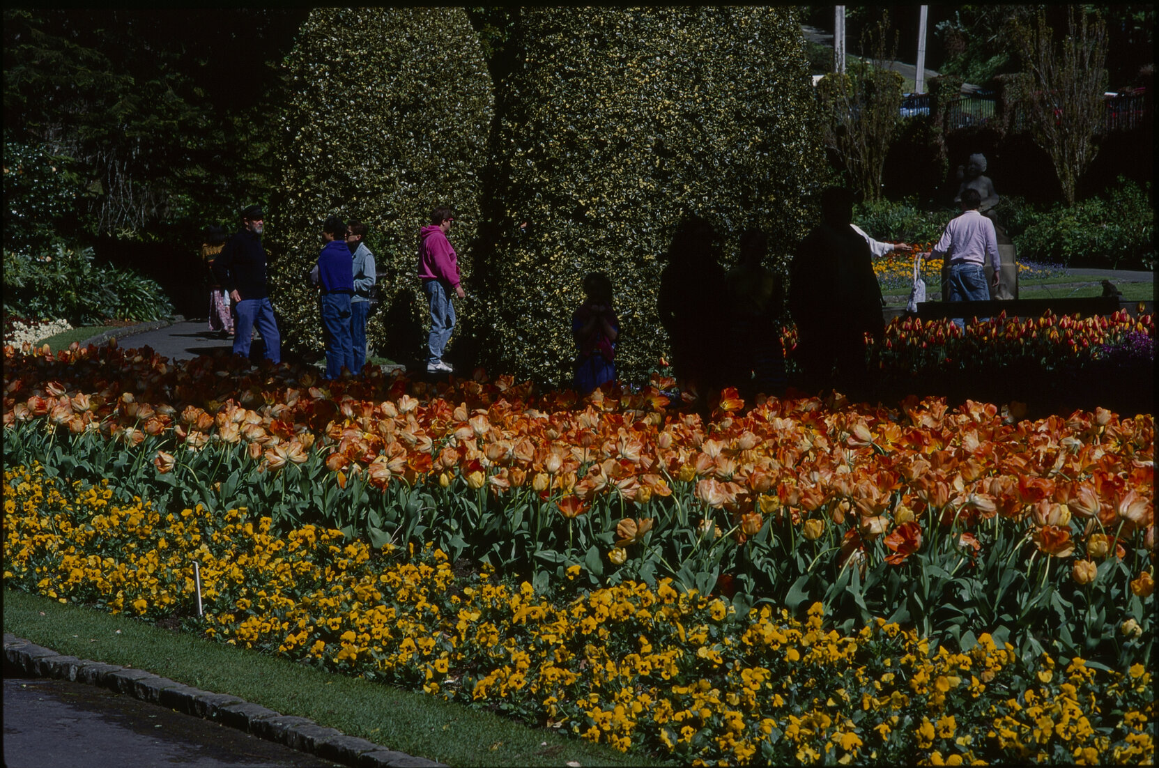Parks and Recreation - Botanical Gardens