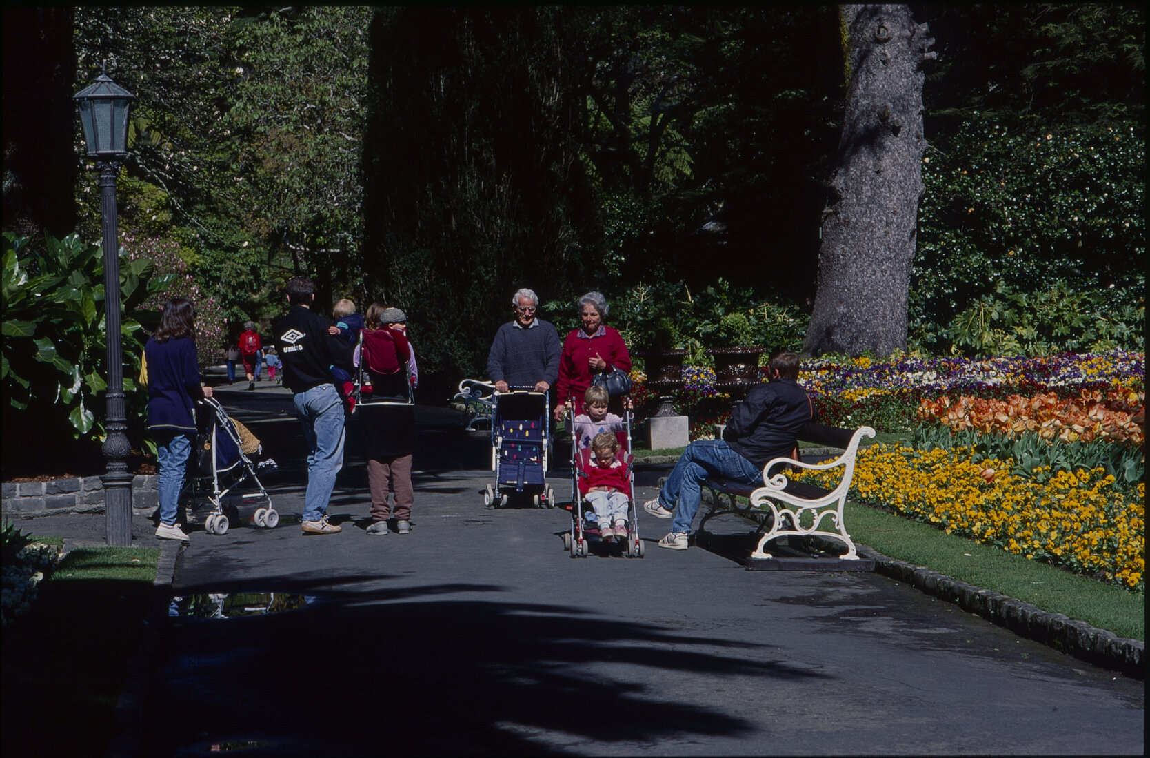 Parks and Recreation - Botanical Gardens